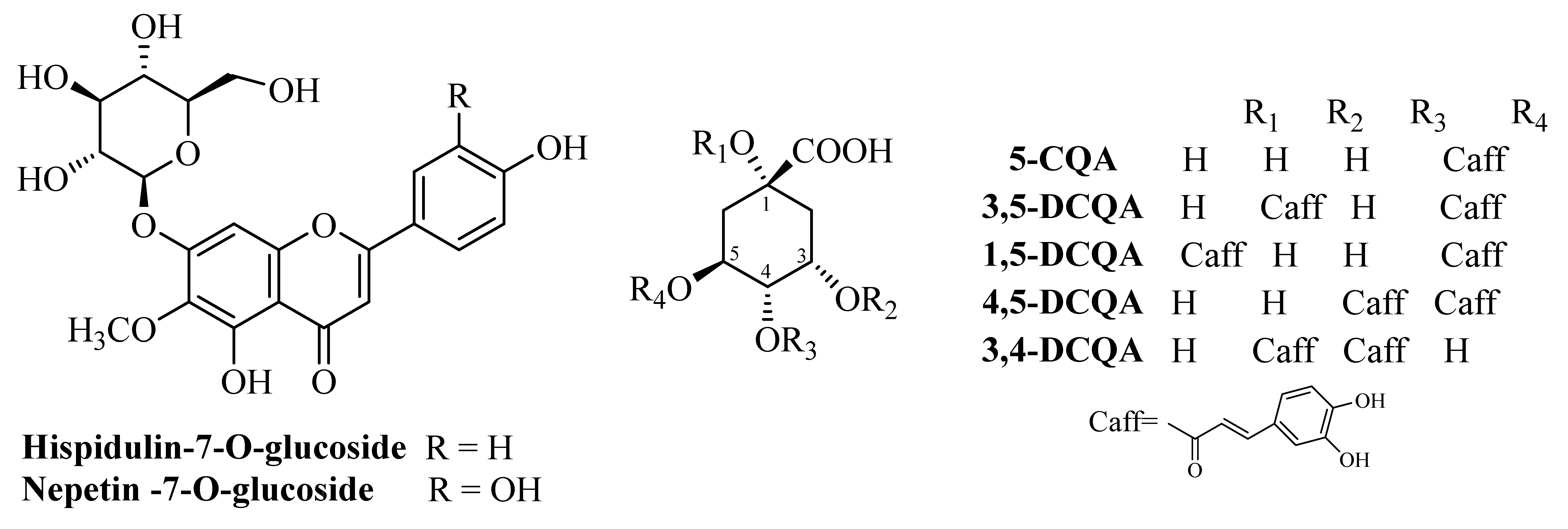 Membranes 15 00357 g001