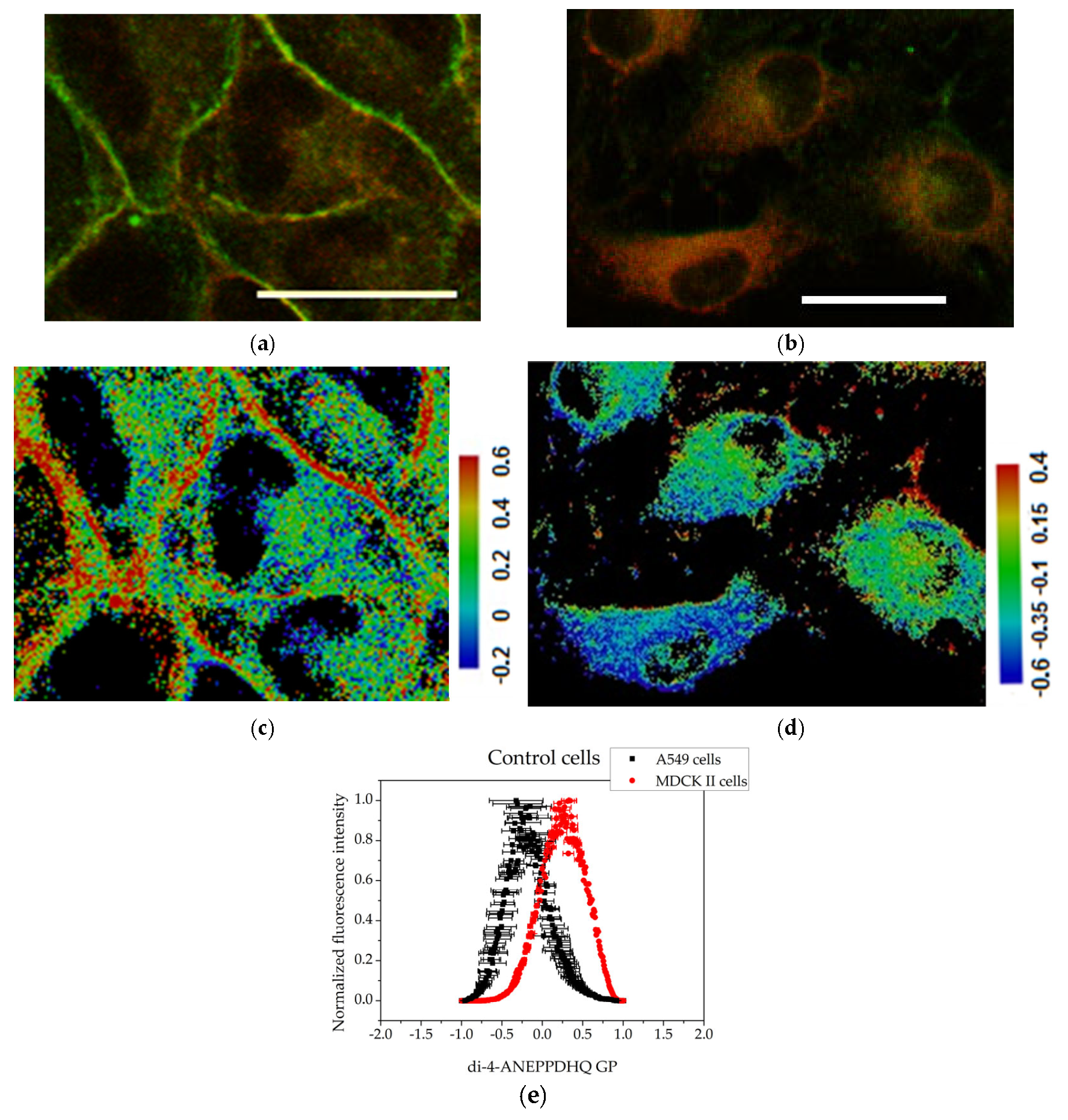 Membranes 15 00357 g003