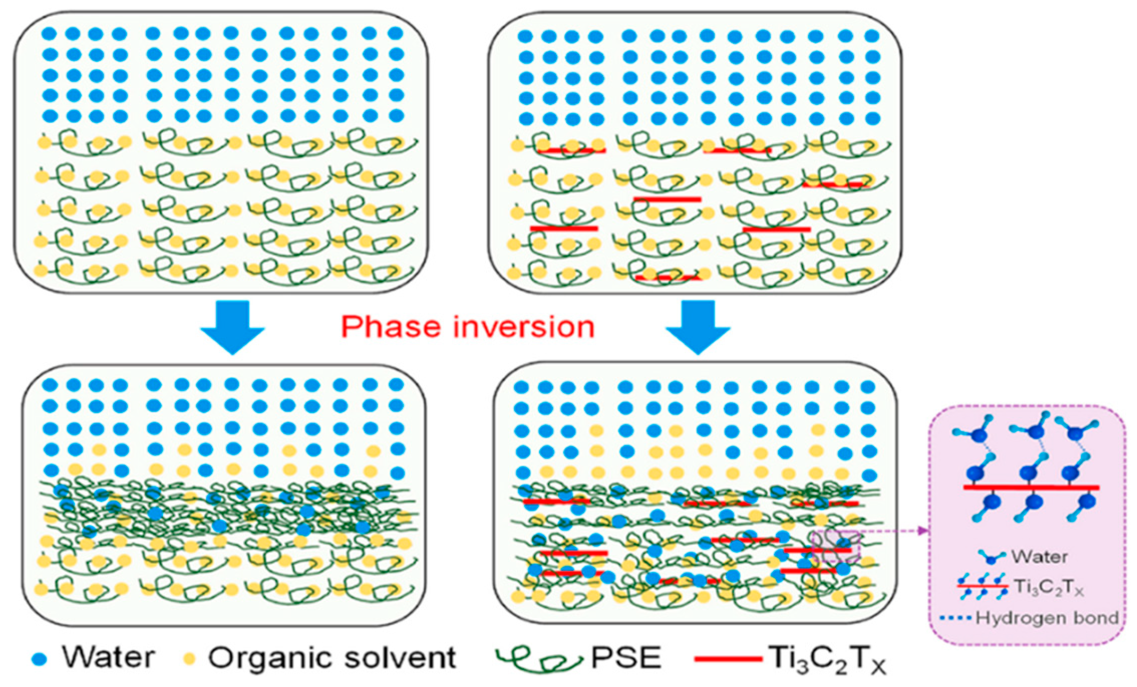 Membranes 15 00364 g002