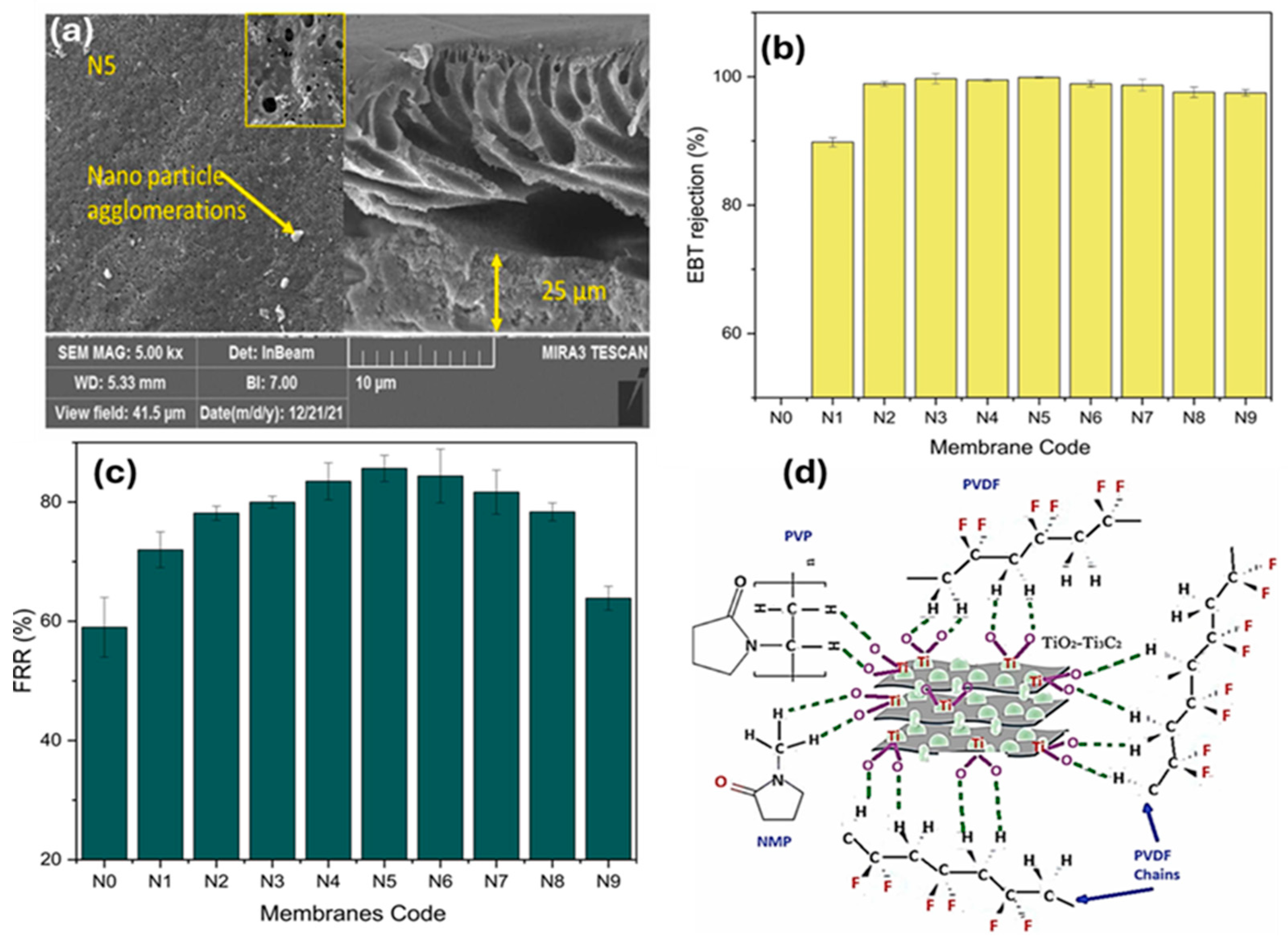 Membranes 15 00364 g004
