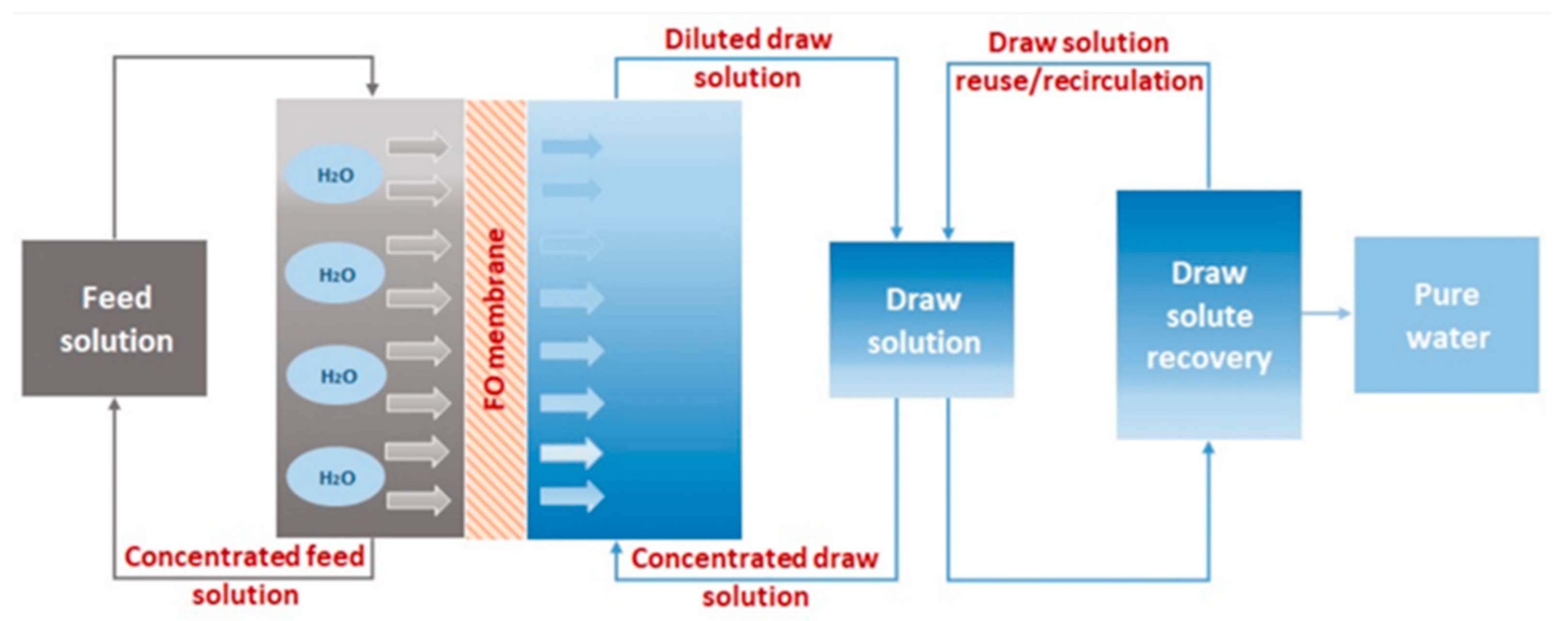 Membranes 15 00364 g005