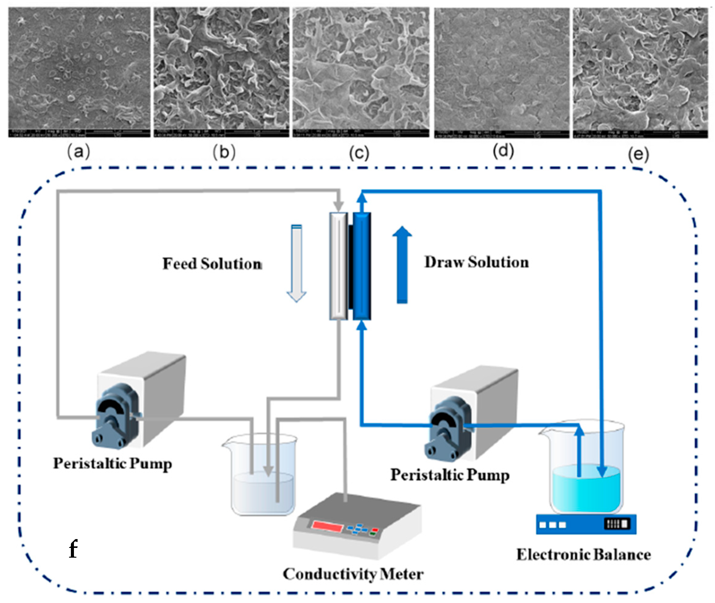 Membranes 15 00364 g006