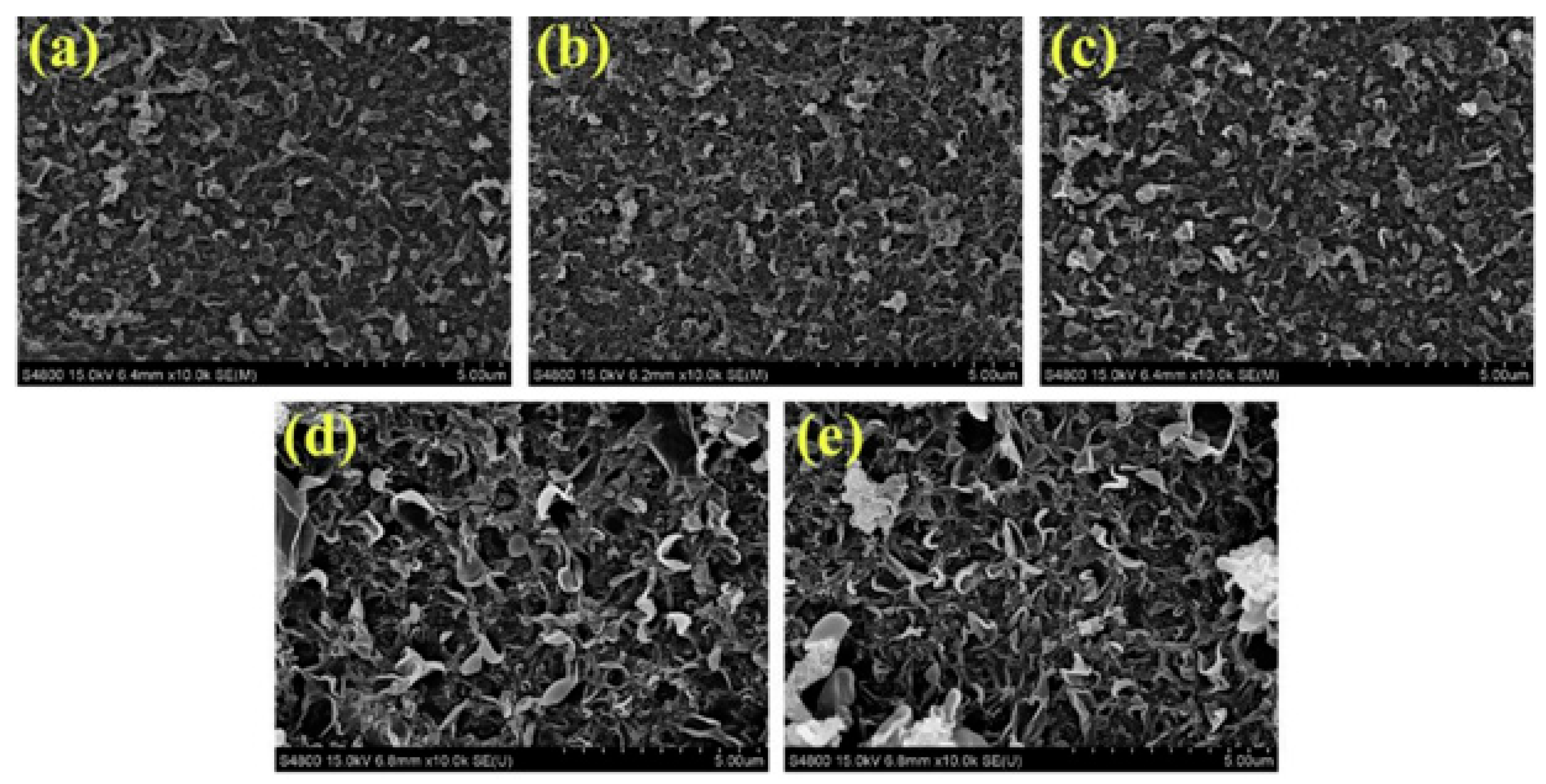 Membranes 15 00364 g014
