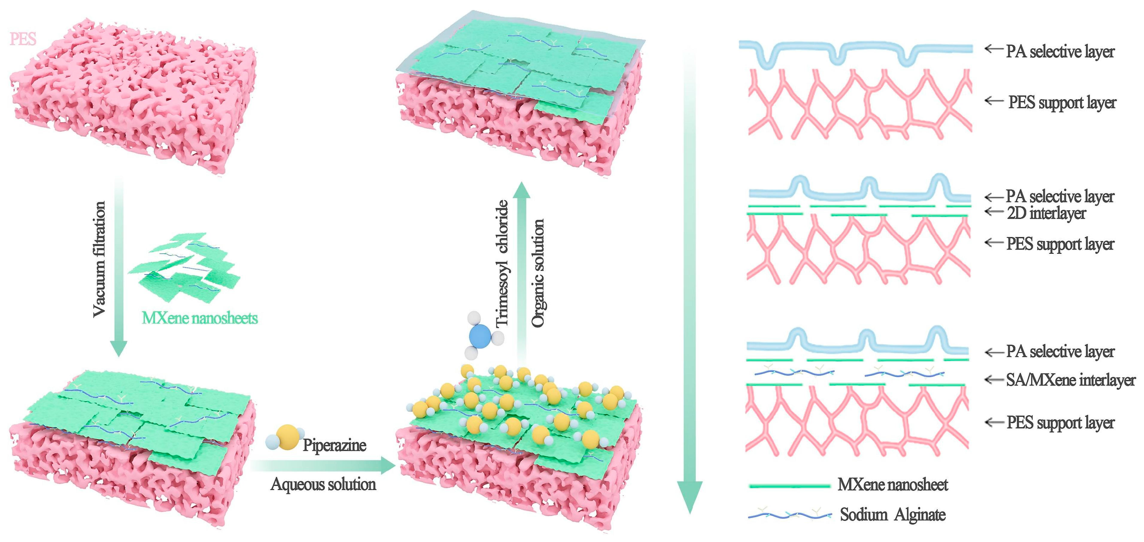 Membranes 15 00364 g015