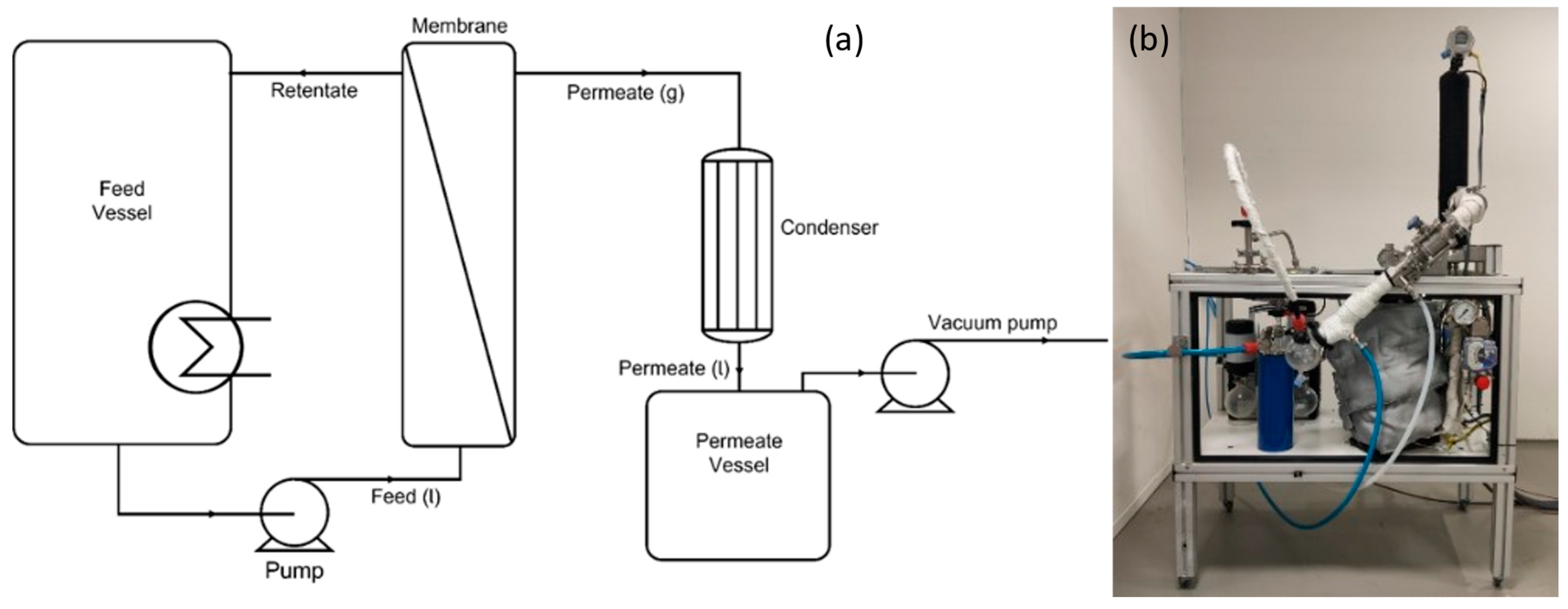 Membranes 15 00367 g001