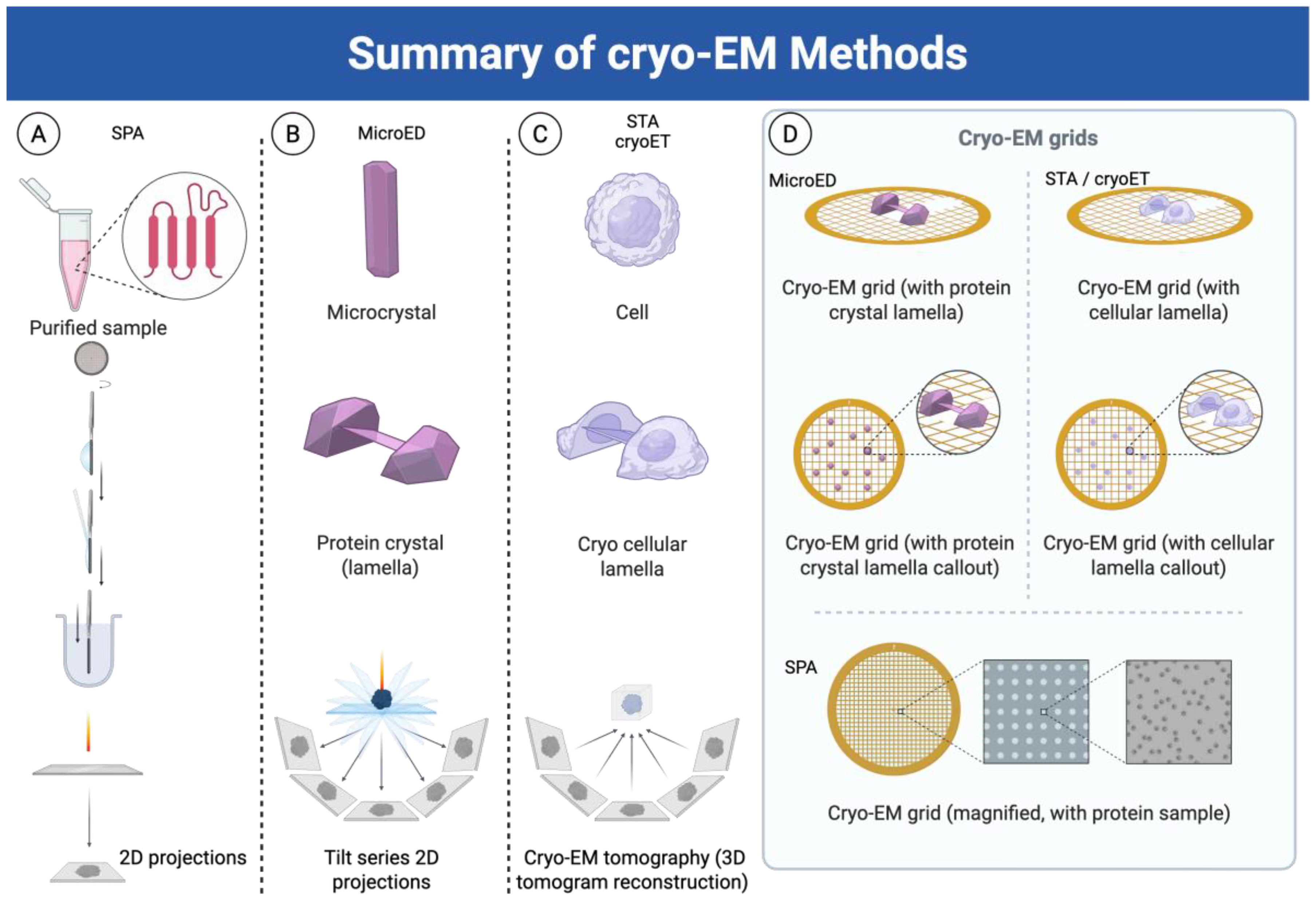 Membranes 15 00368 g002 Membranes 15 00368 g002