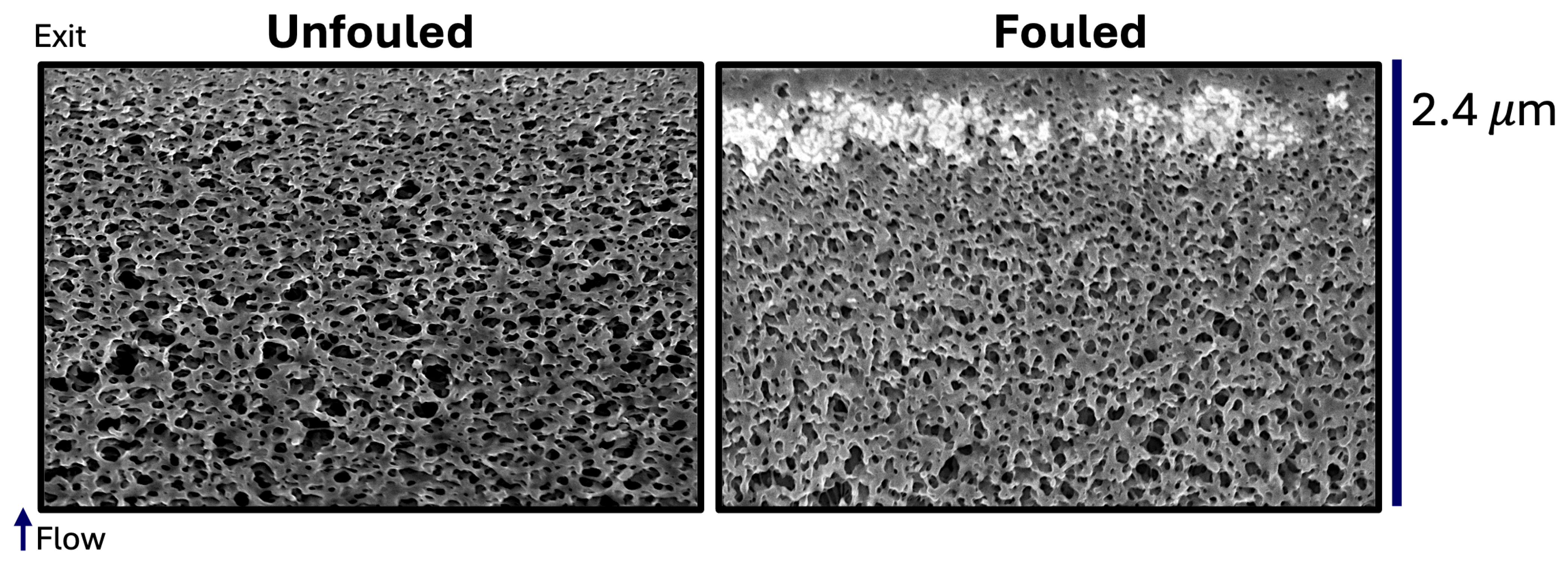 Membranes 15 00369 g001