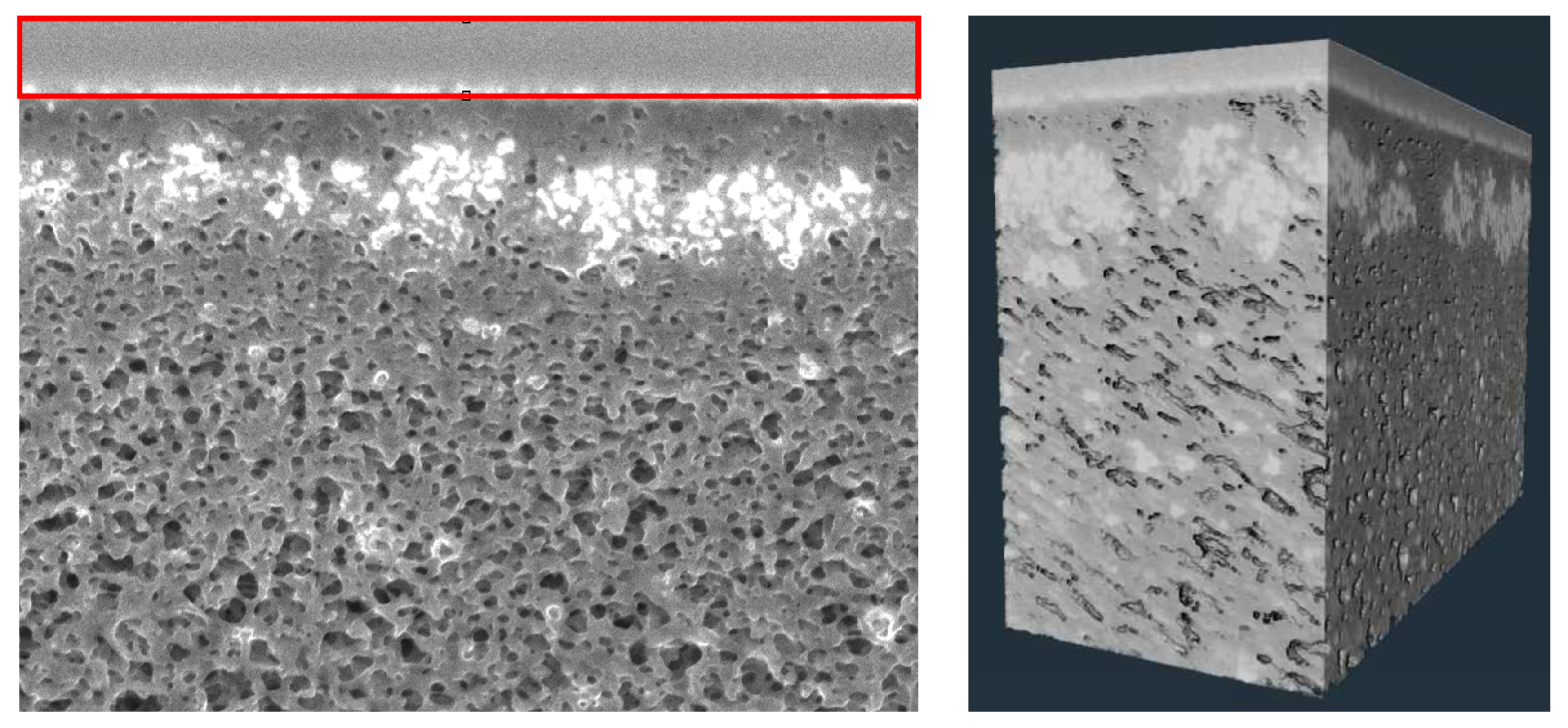 Membranes 15 00369 g002