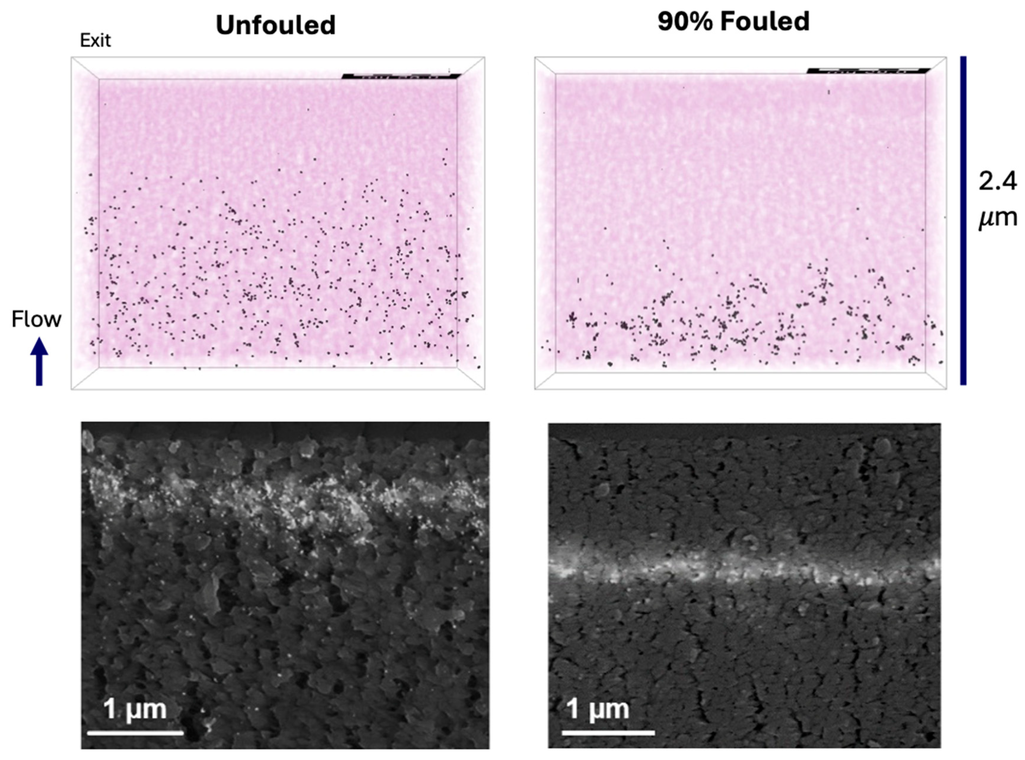 Membranes 15 00369 g004