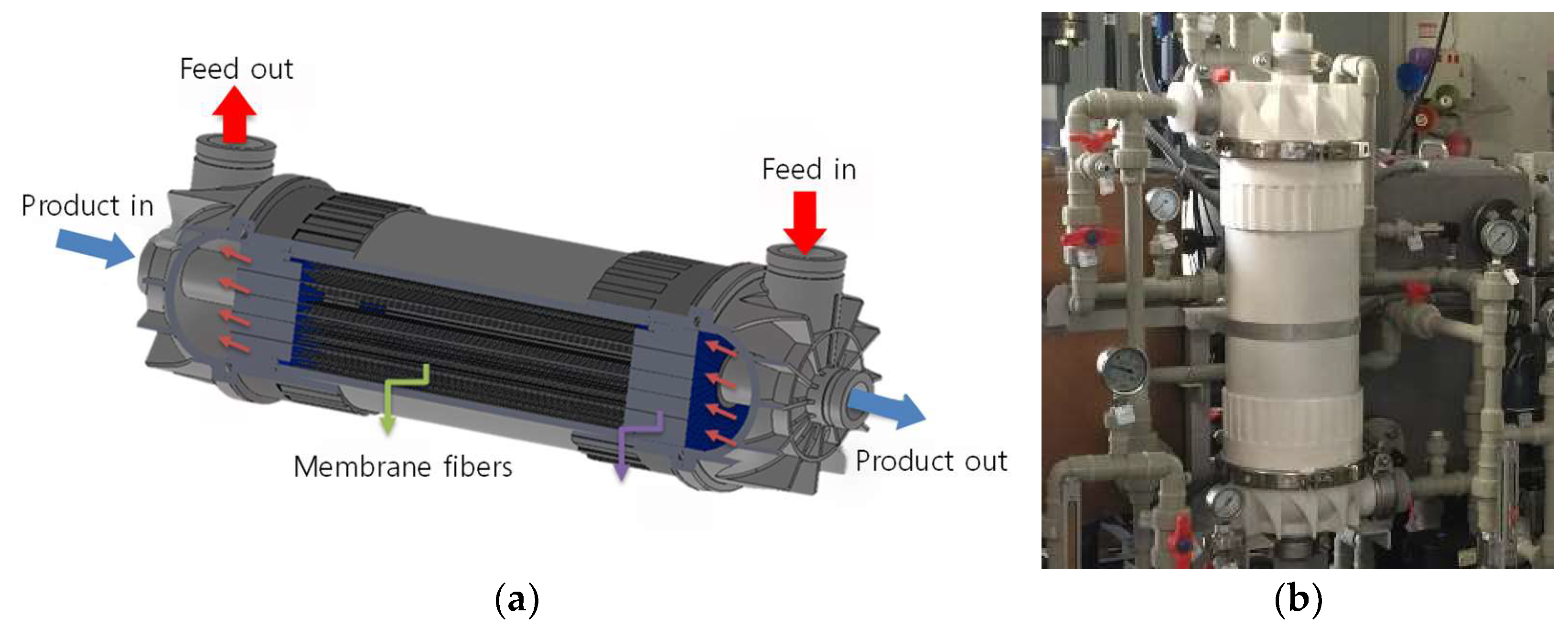 Membranes 15 00371 g001 Membranes 15 00371 g001