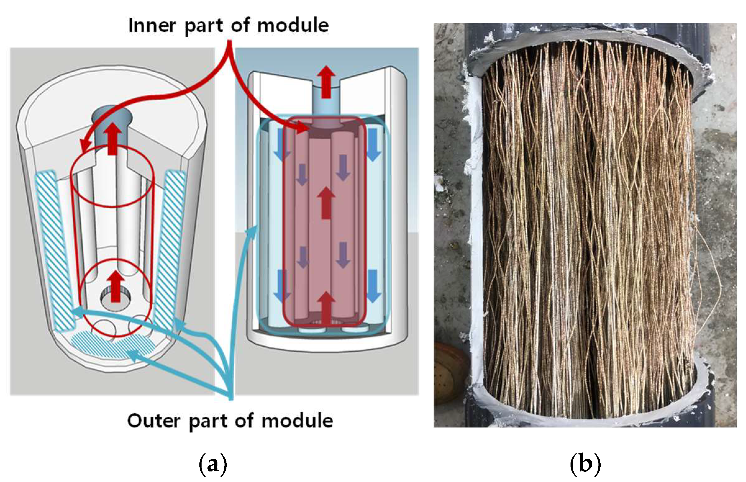 Membranes 15 00371 g003 Membranes 15 00371 g003