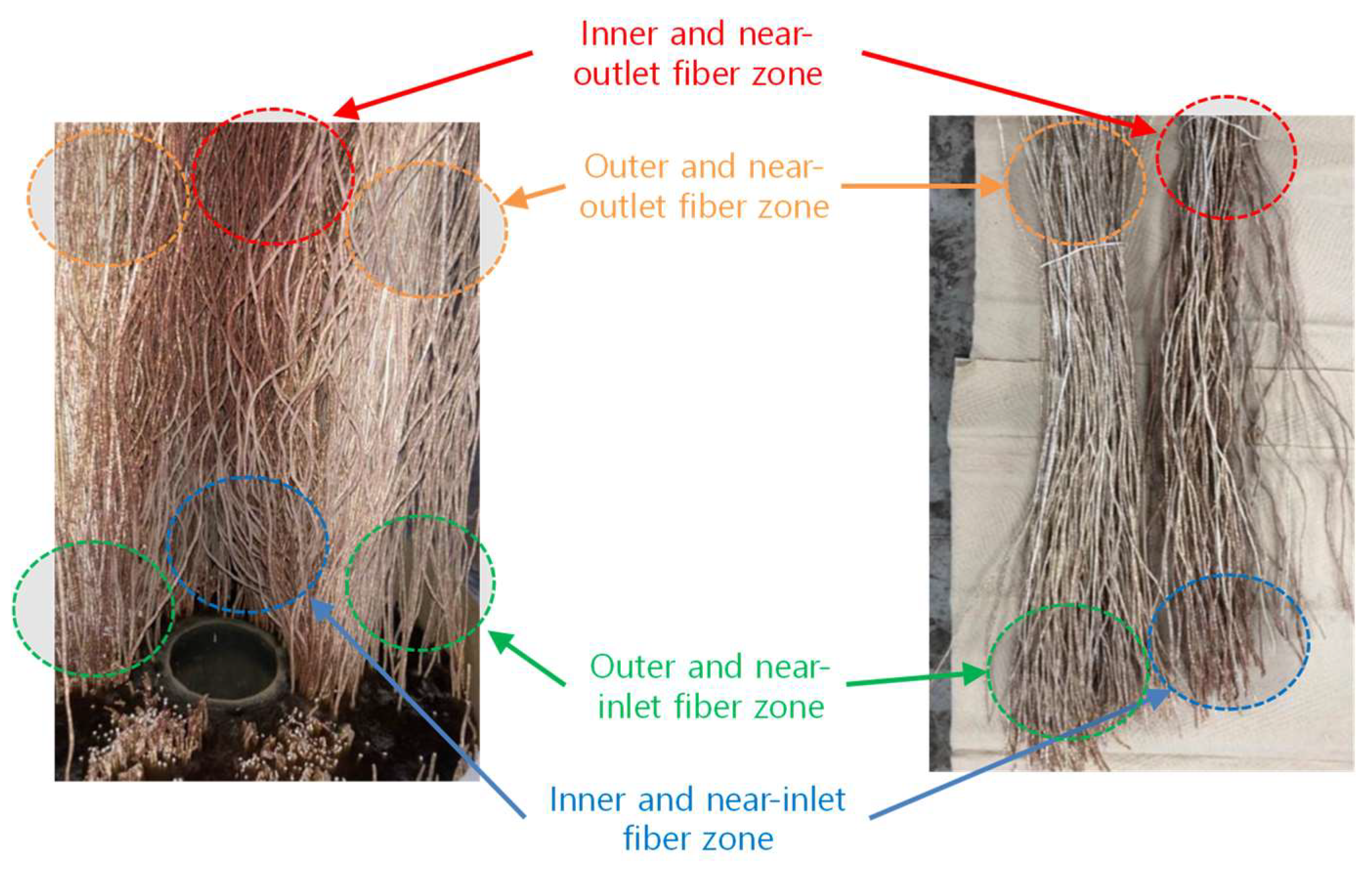 Membranes 15 00371 g007 Membranes 15 00371 g007
