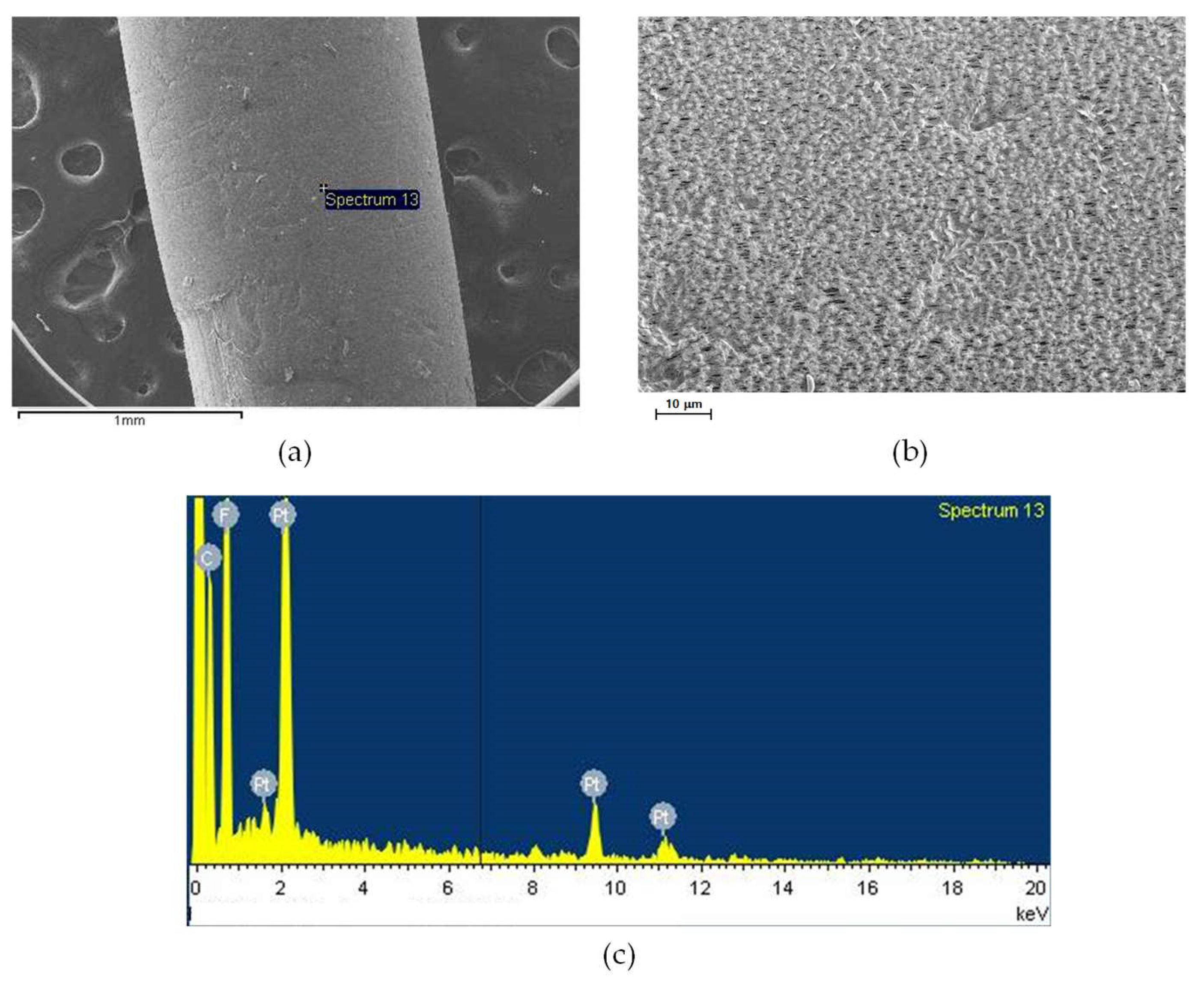 Membranes 15 00371 g008 Membranes 15 00371 g008