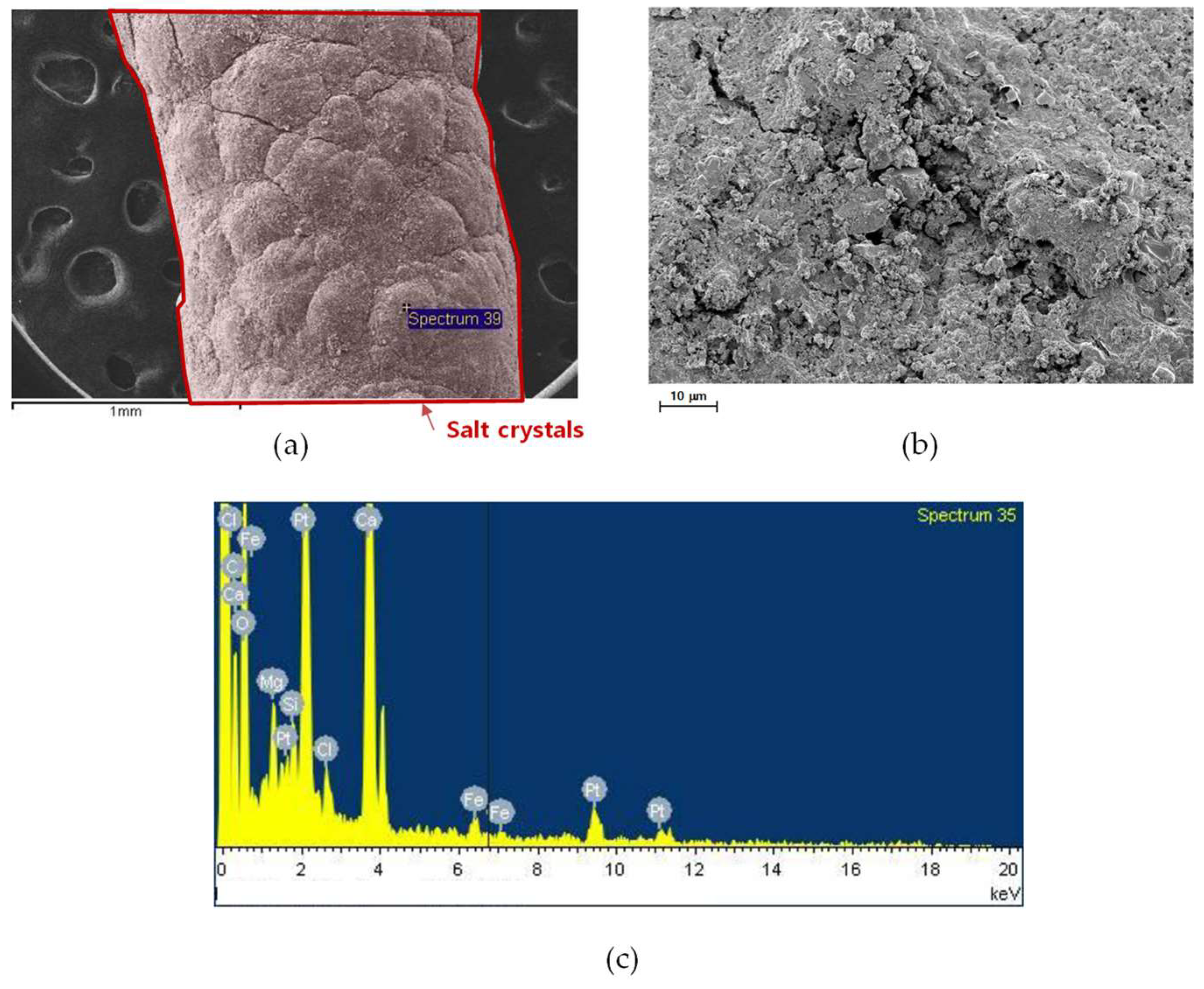 Membranes 15 00371 g009 Membranes 15 00371 g009