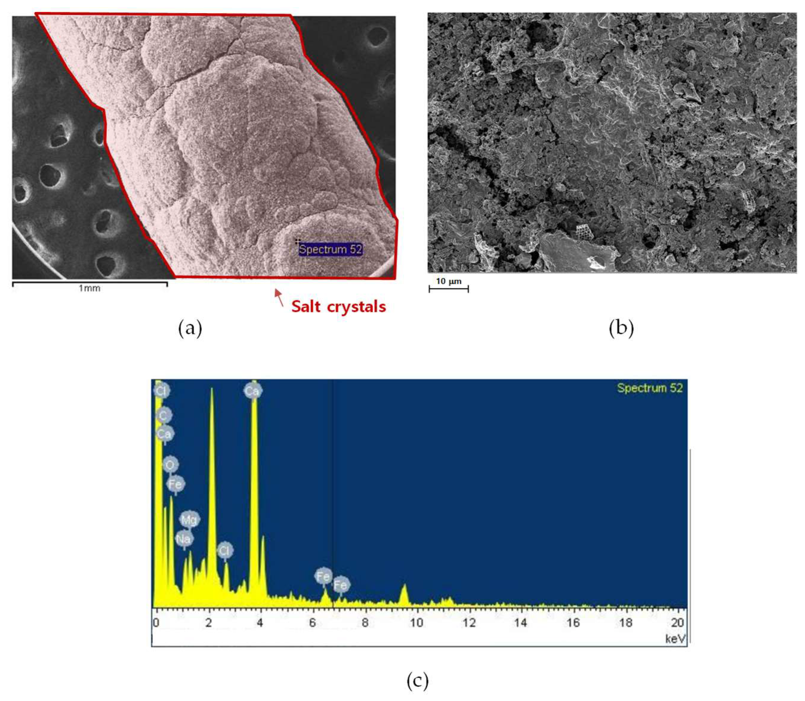 Membranes 15 00371 g010 Membranes 15 00371 g010