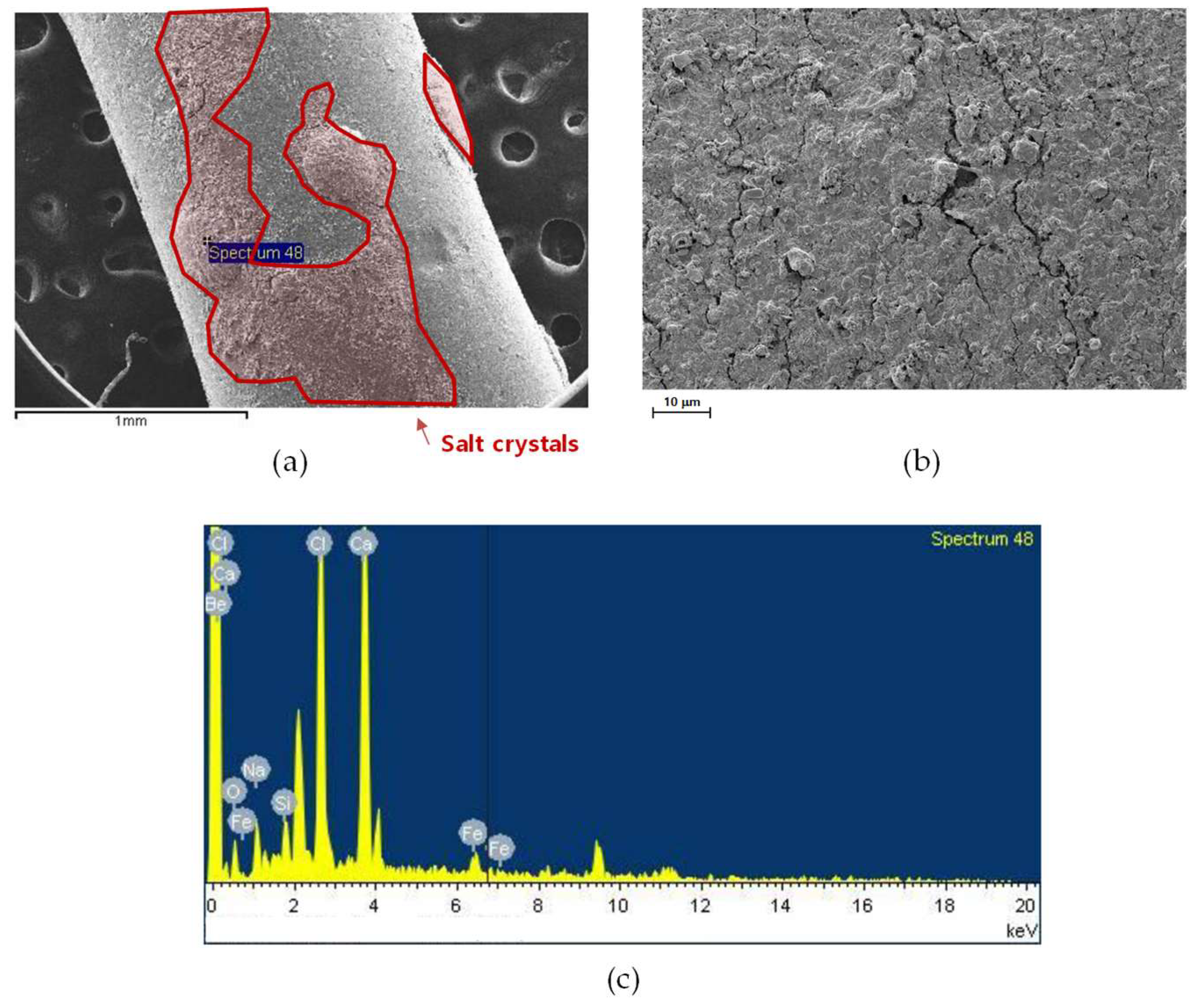 Membranes 15 00371 g011 Membranes 15 00371 g011