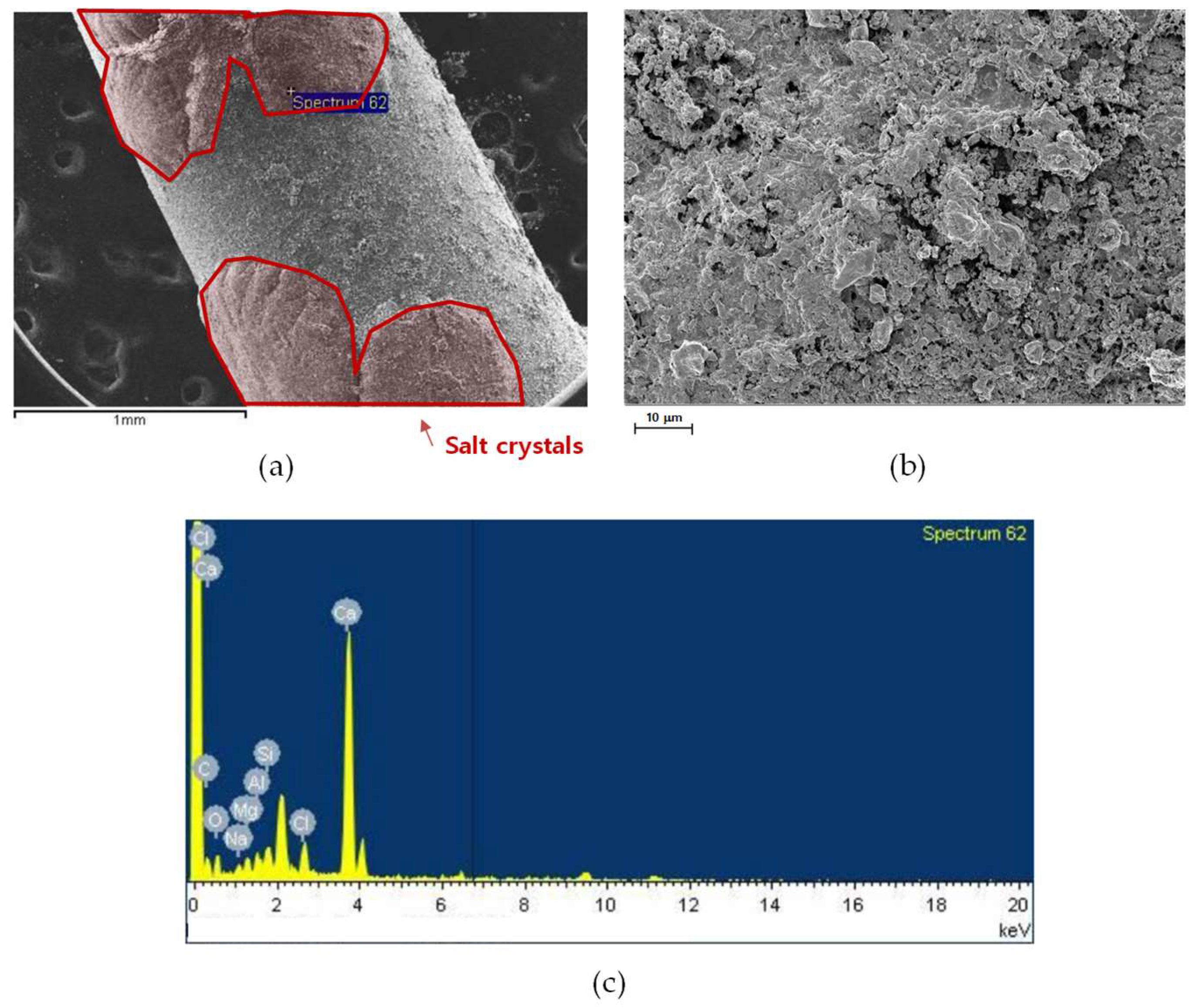 Membranes 15 00371 g012 Membranes 15 00371 g012