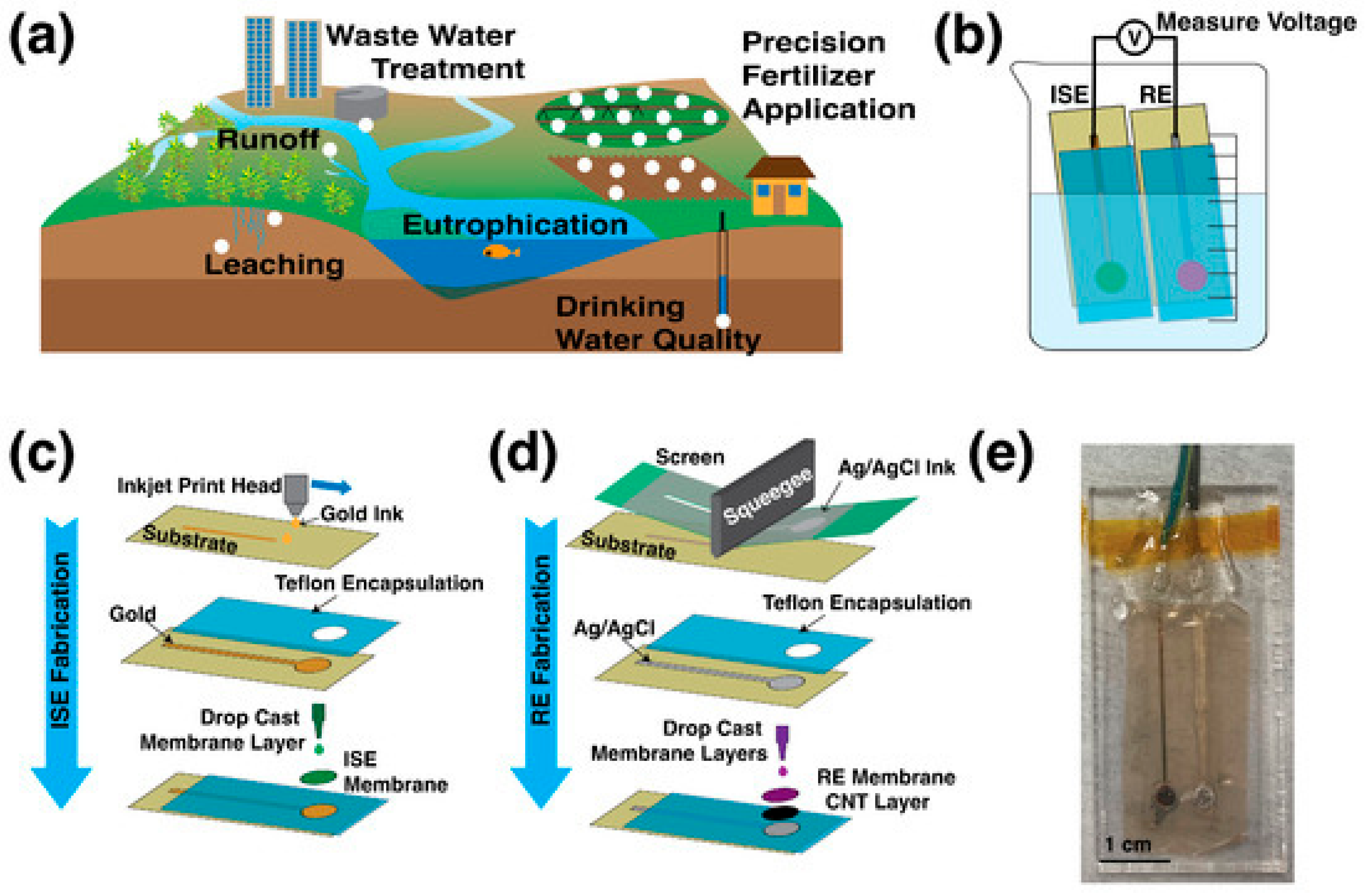 Membranes 15 00376 g008