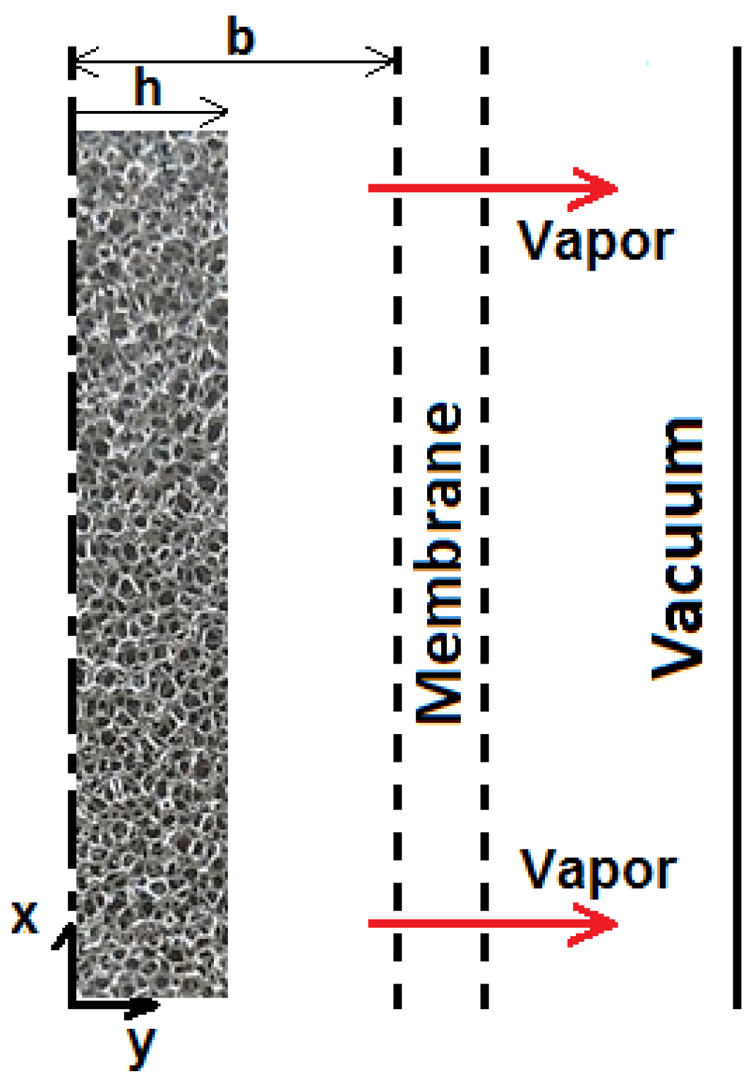 Membranes 15 00379 g001 Membranes 15 00379 g001