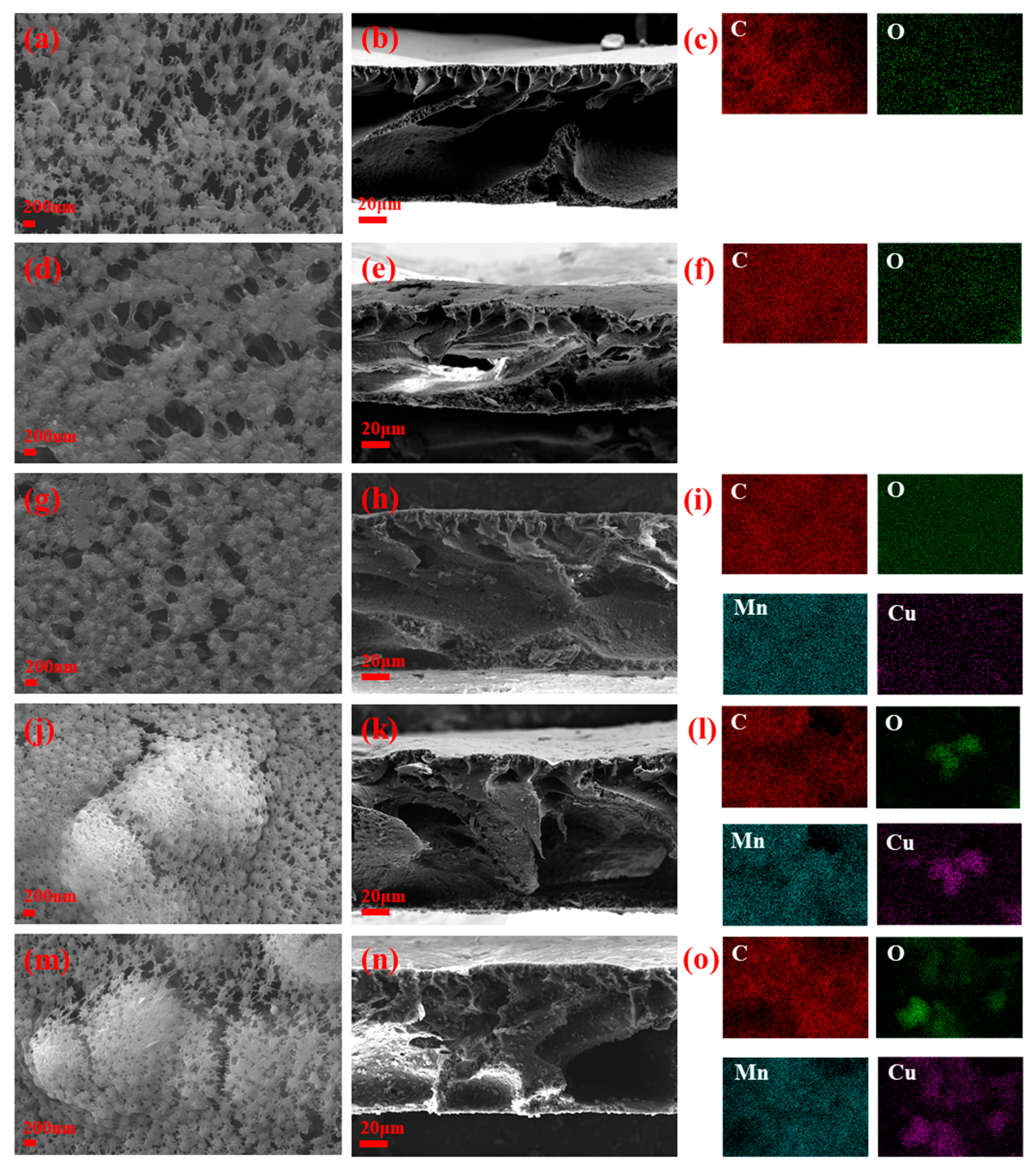 Membranes 15 00384 g002