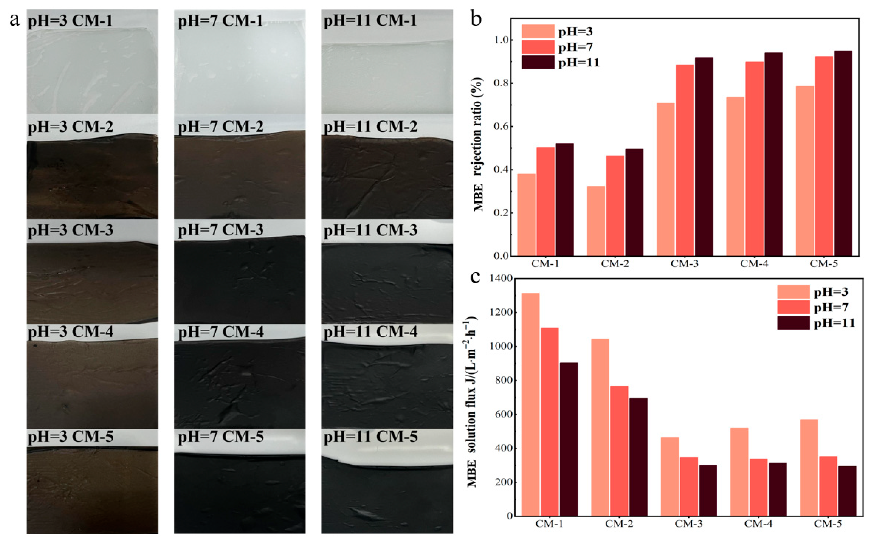 Membranes 15 00384 g009