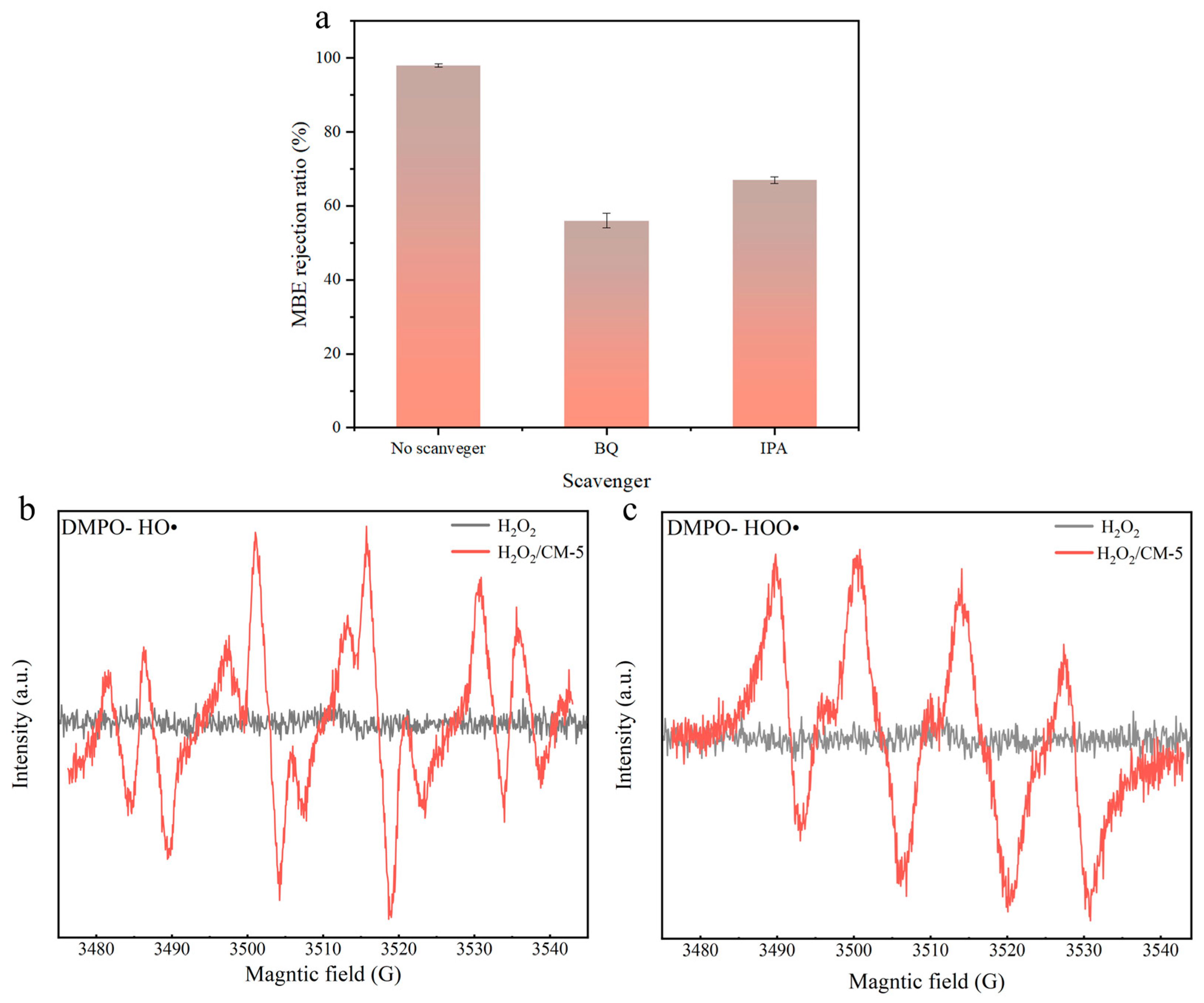 Membranes 15 00384 g010