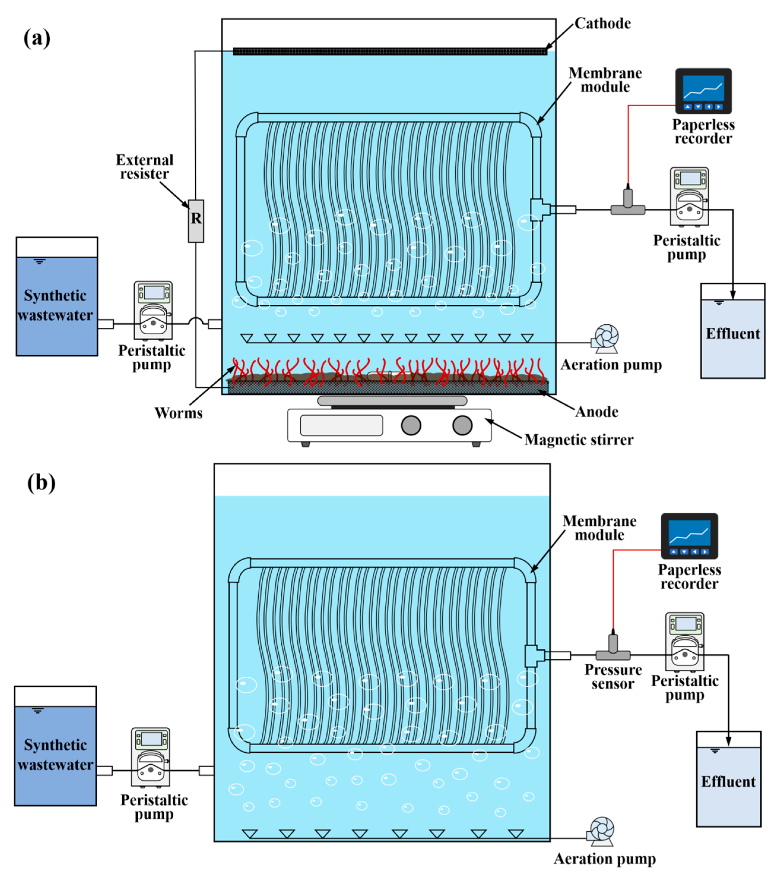 Membranes 16 00002 g001