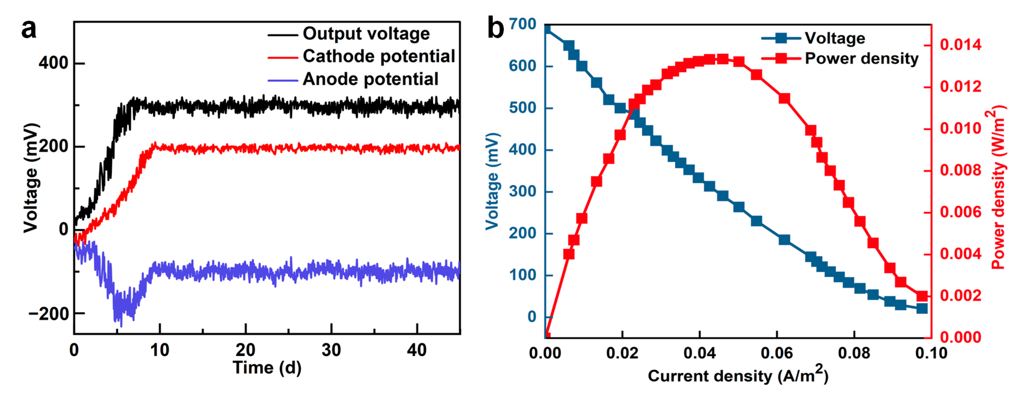 Membranes 16 00002 g002