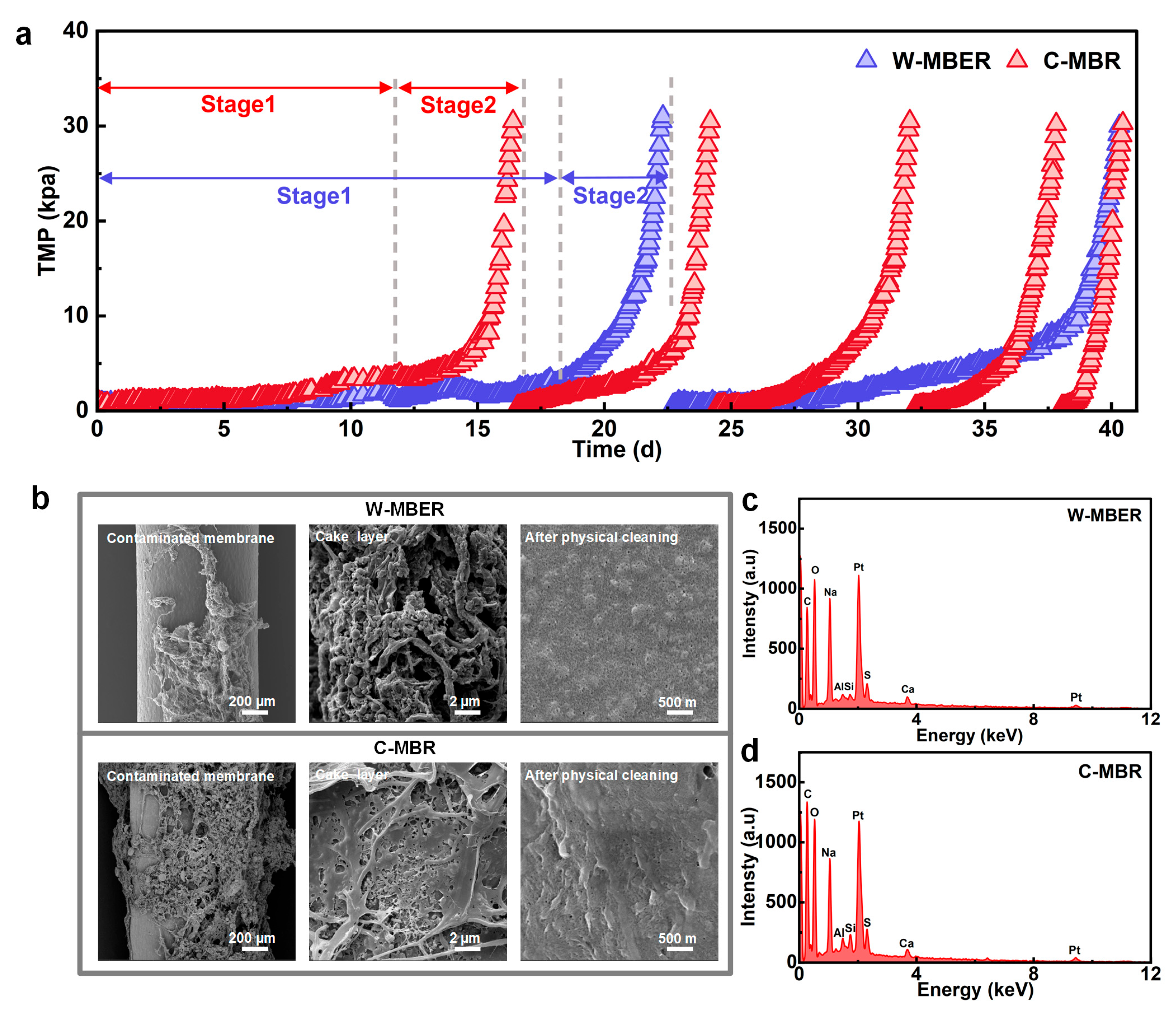 Membranes 16 00002 g004