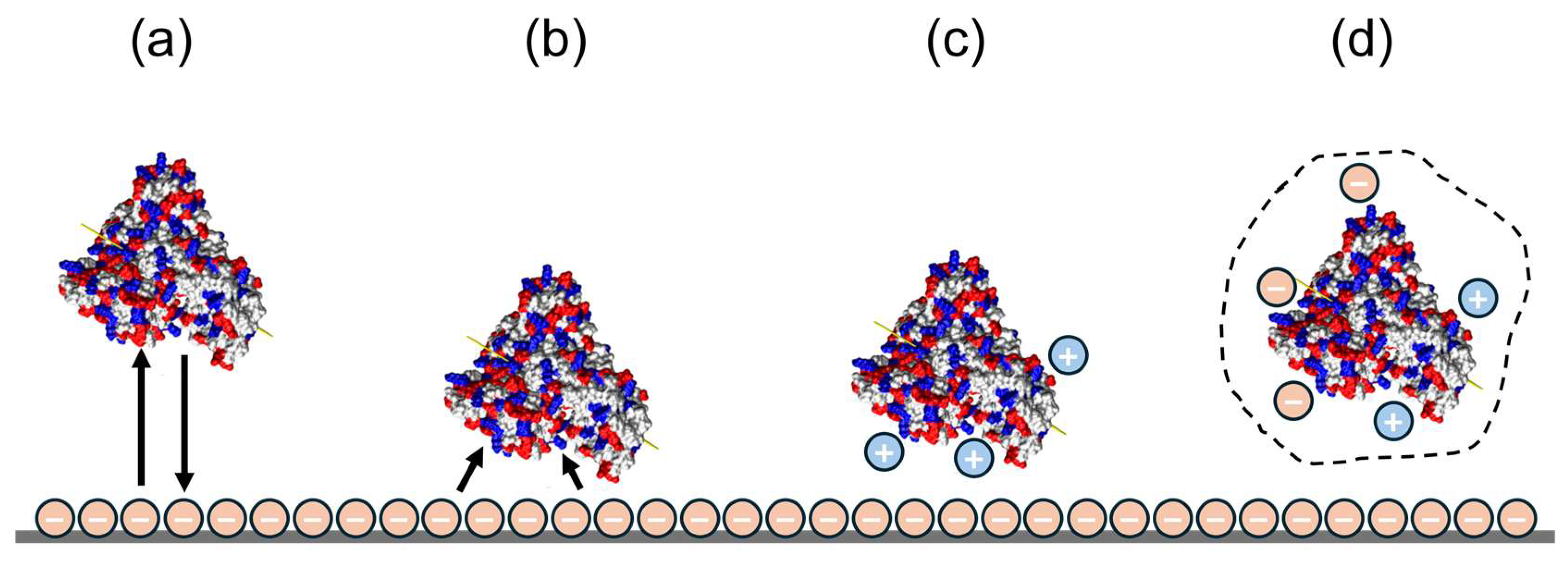 Membranes 16 00005 g002
