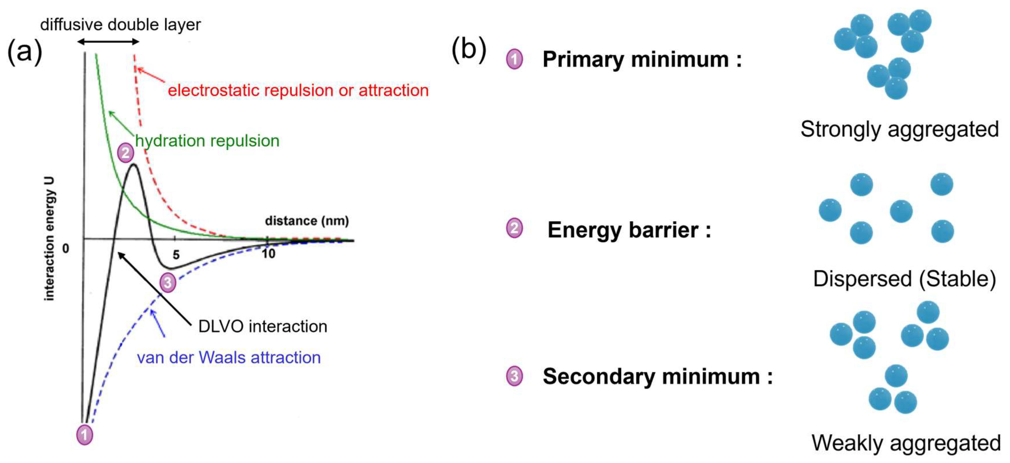 Membranes 16 00005 g003