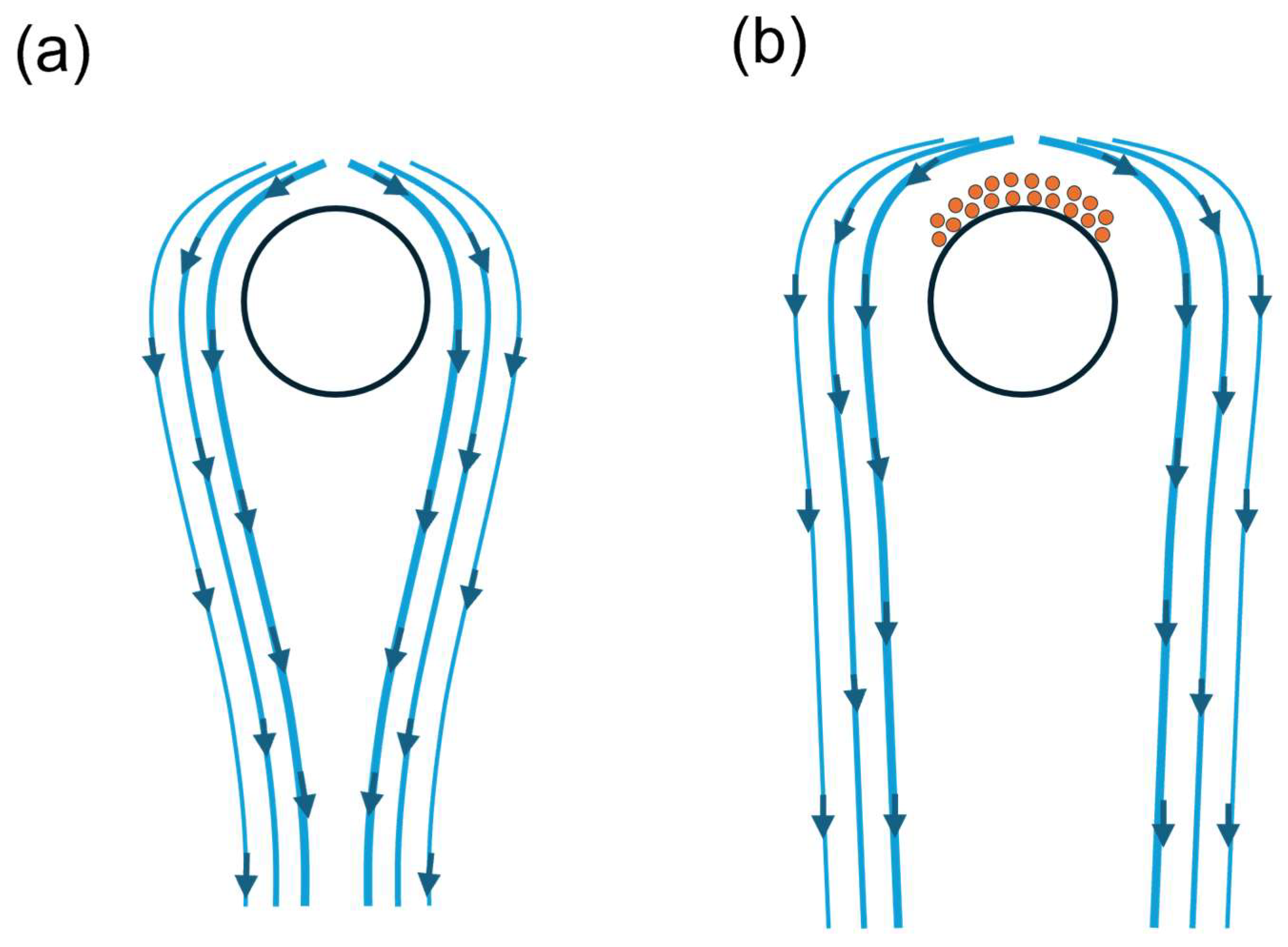 Membranes 16 00005 g004