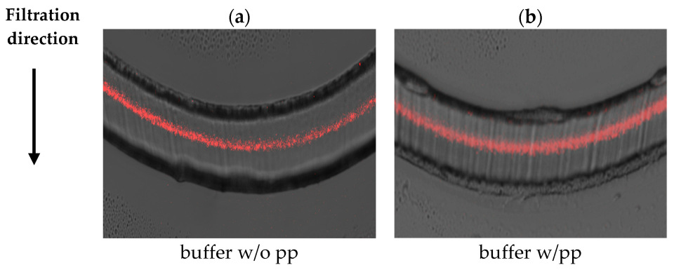 Membranes 16 00006 g0a3