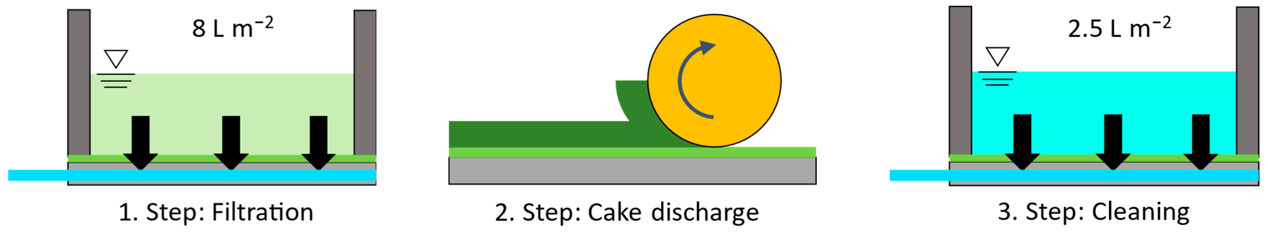 Membranes 16 00007 g002