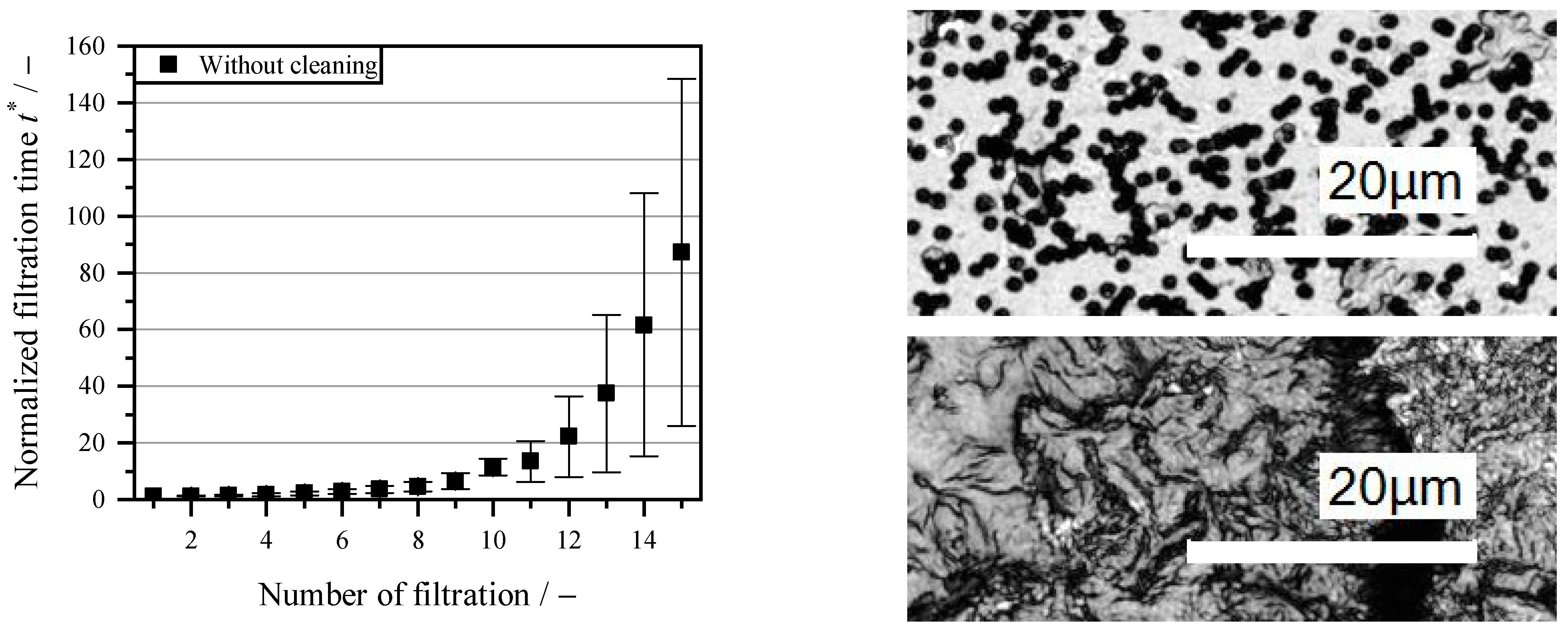 Membranes 16 00007 g003