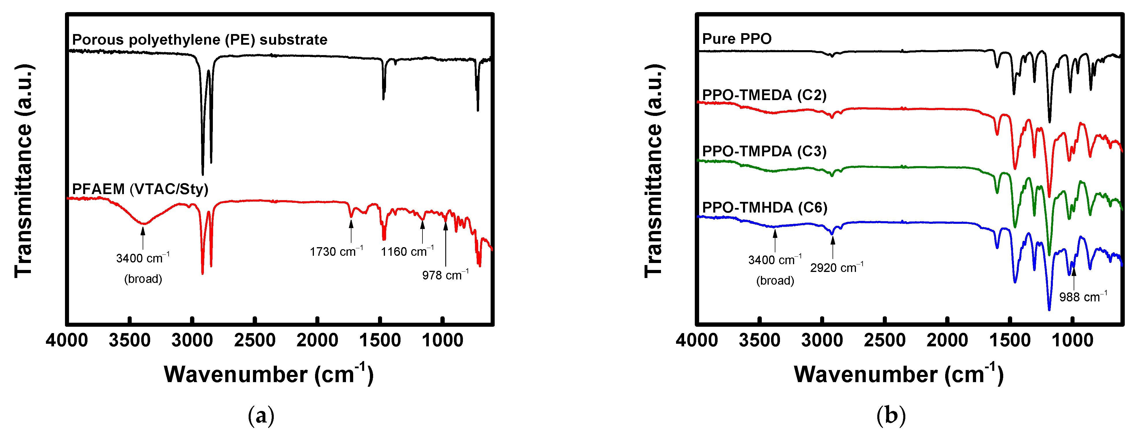 Membranes 16 00008 g005