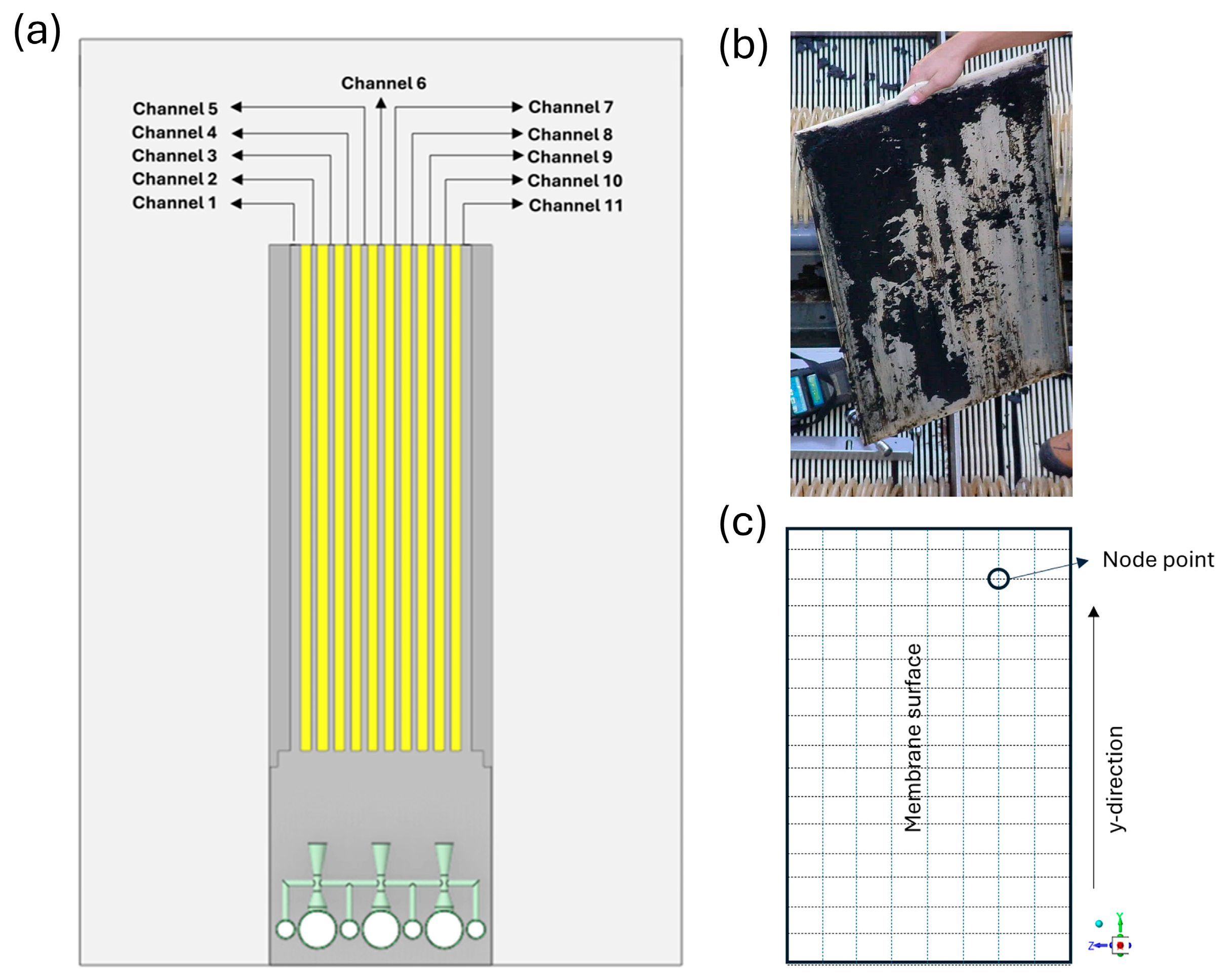 Membranes 16 00010 g009