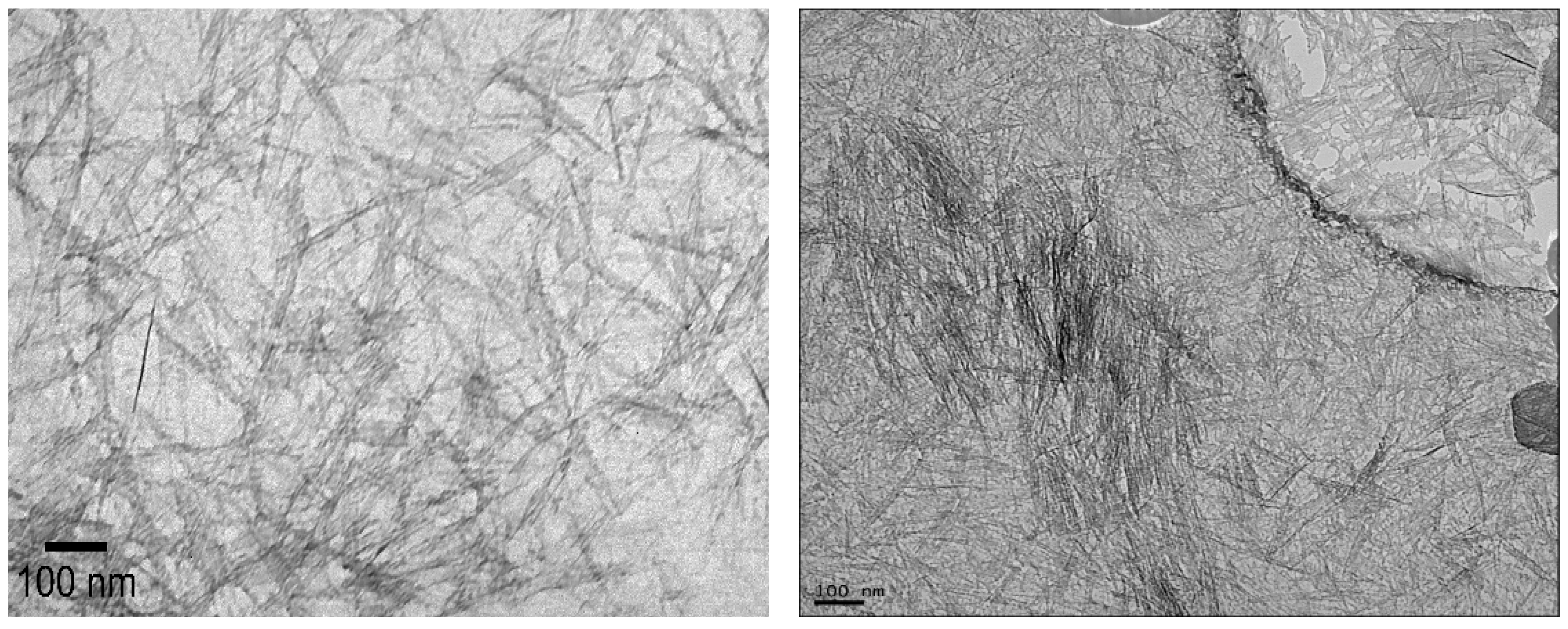 Membranes 16 00020 g001