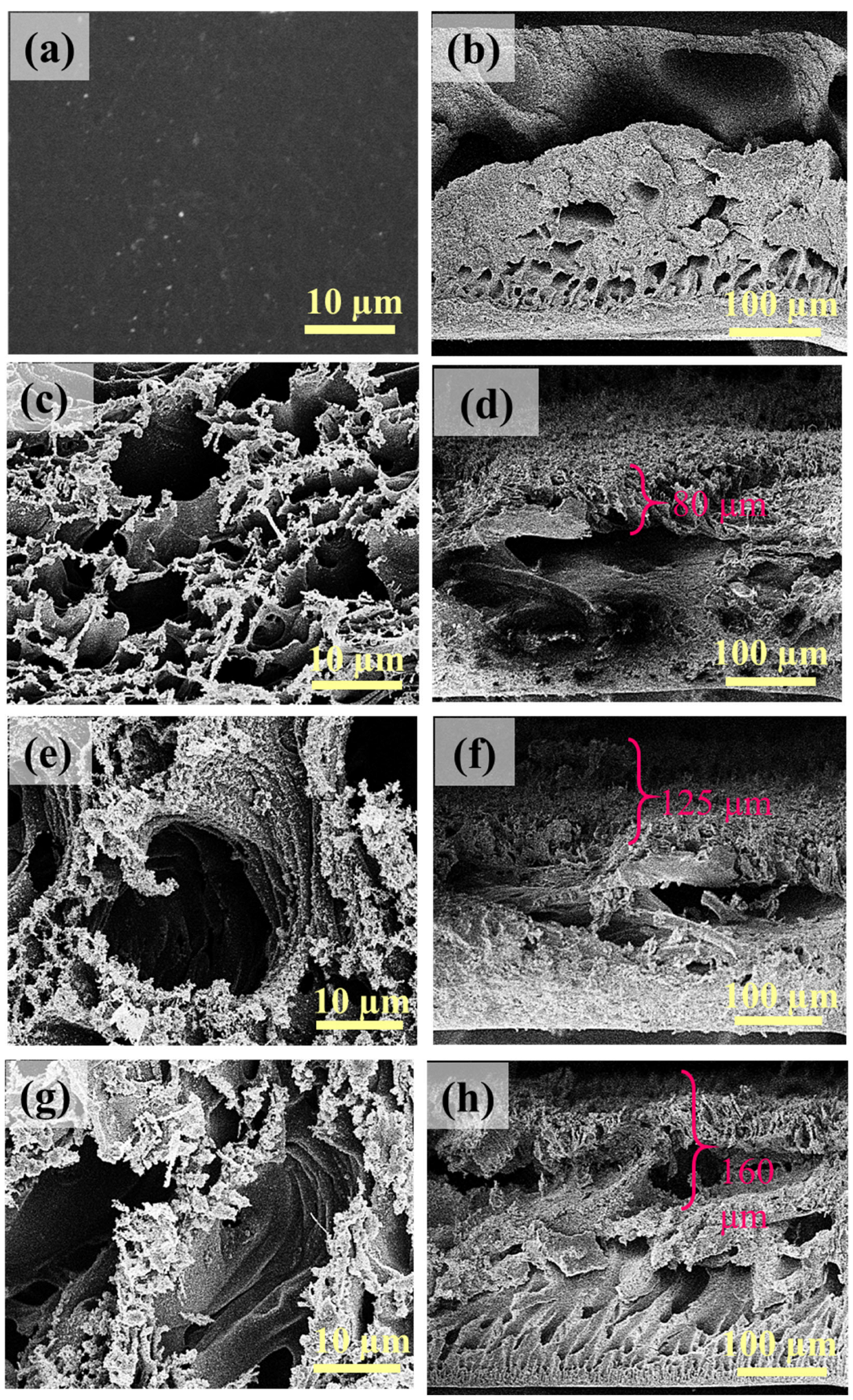 Membranes 16 00021 g002 Membranes 16 00021 g002