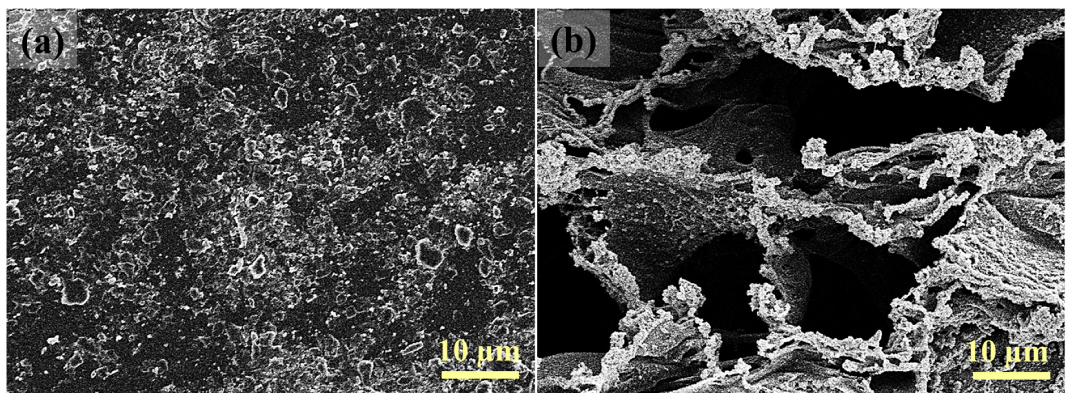 Membranes 16 00021 g007 Membranes 16 00021 g007
