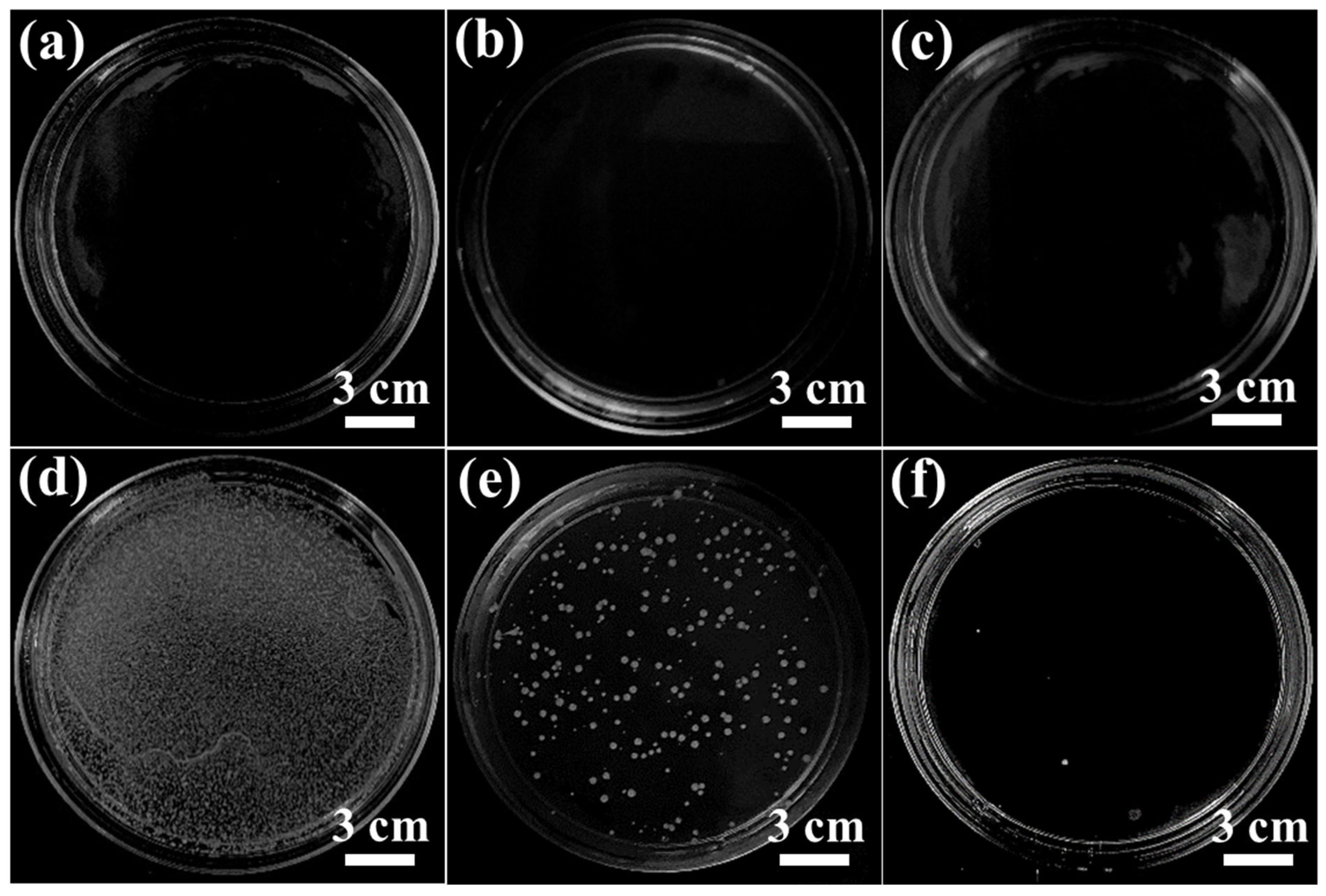 Membranes 16 00021 g009 Membranes 16 00021 g009
