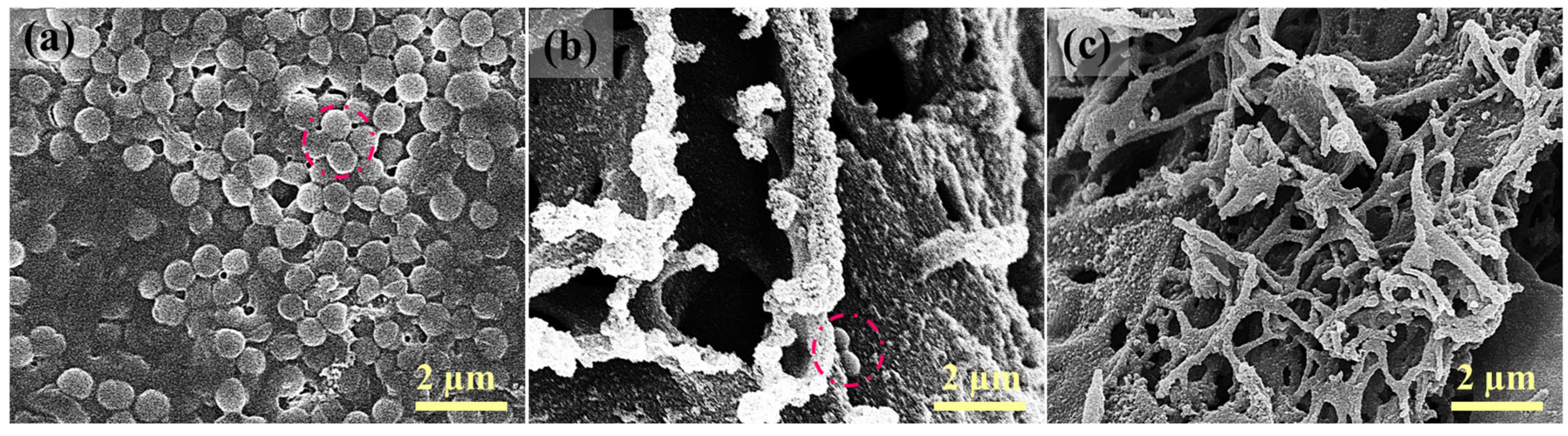 Membranes 16 00021 g010 Membranes 16 00021 g010