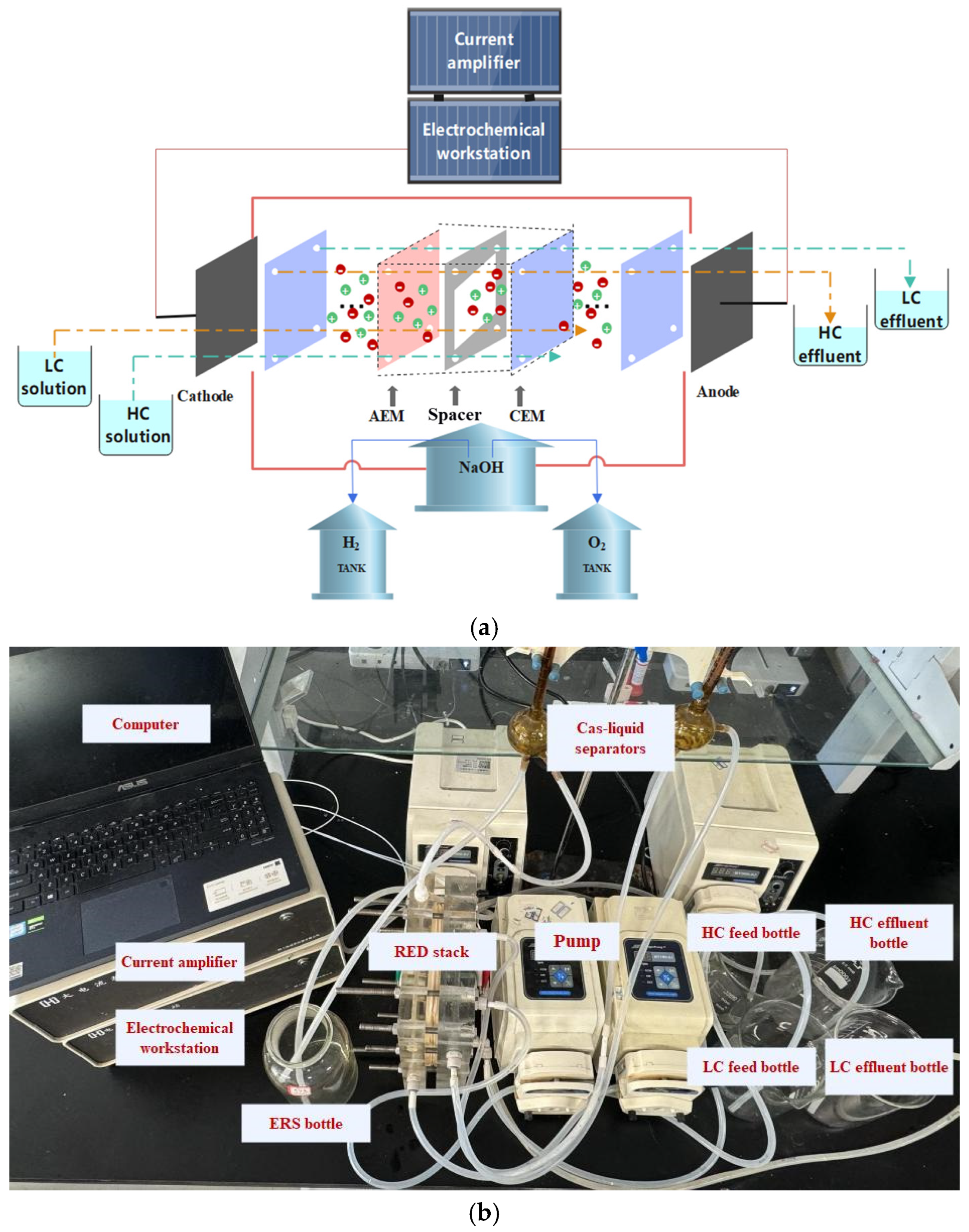 Membranes 16 00026 g001