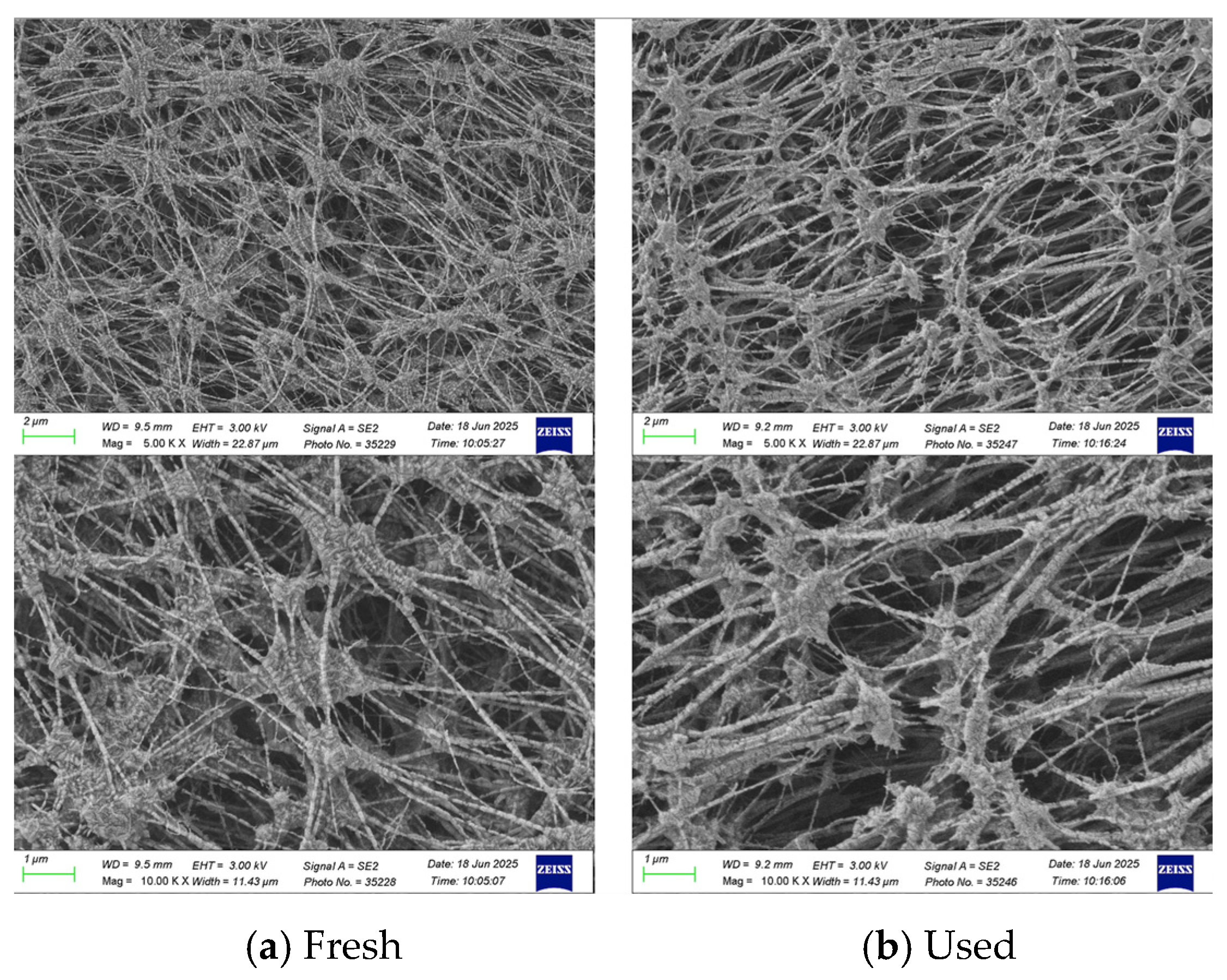 Membranes 16 00037 g004