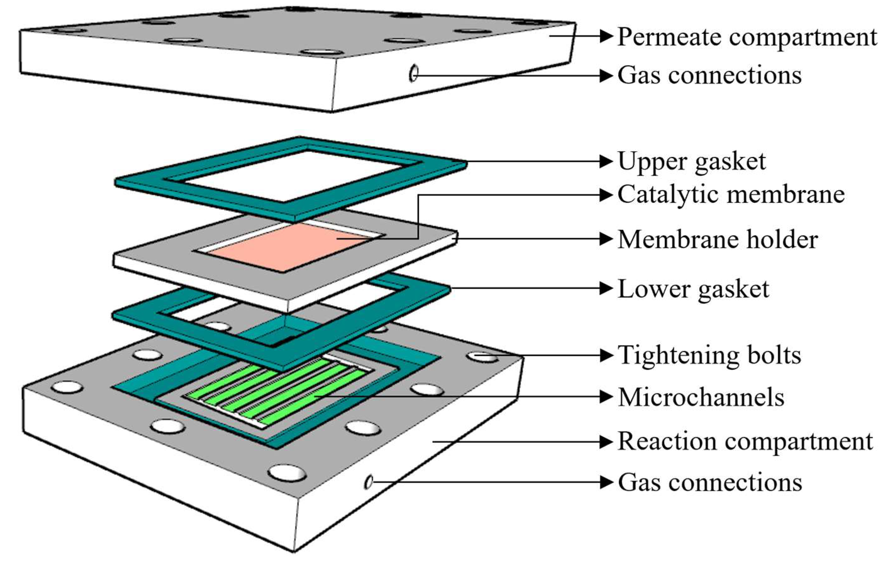 Membranes 16 00045 g001