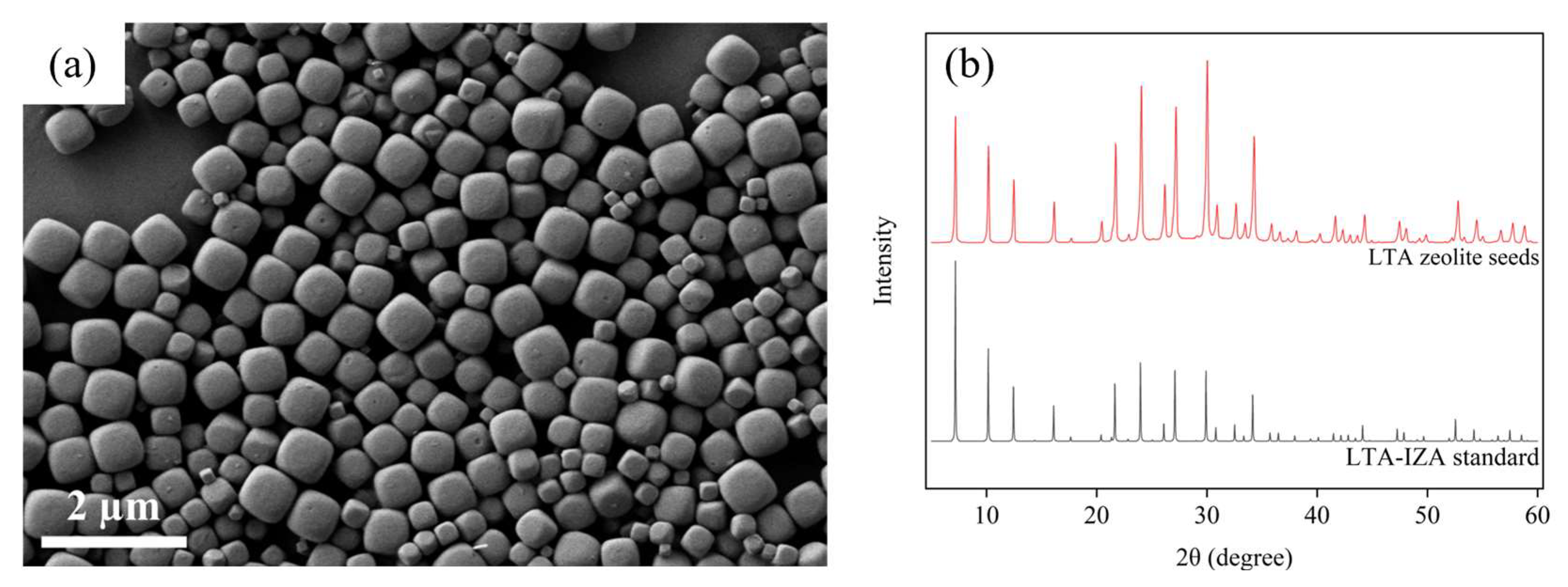 Membranes 16 00045 g009