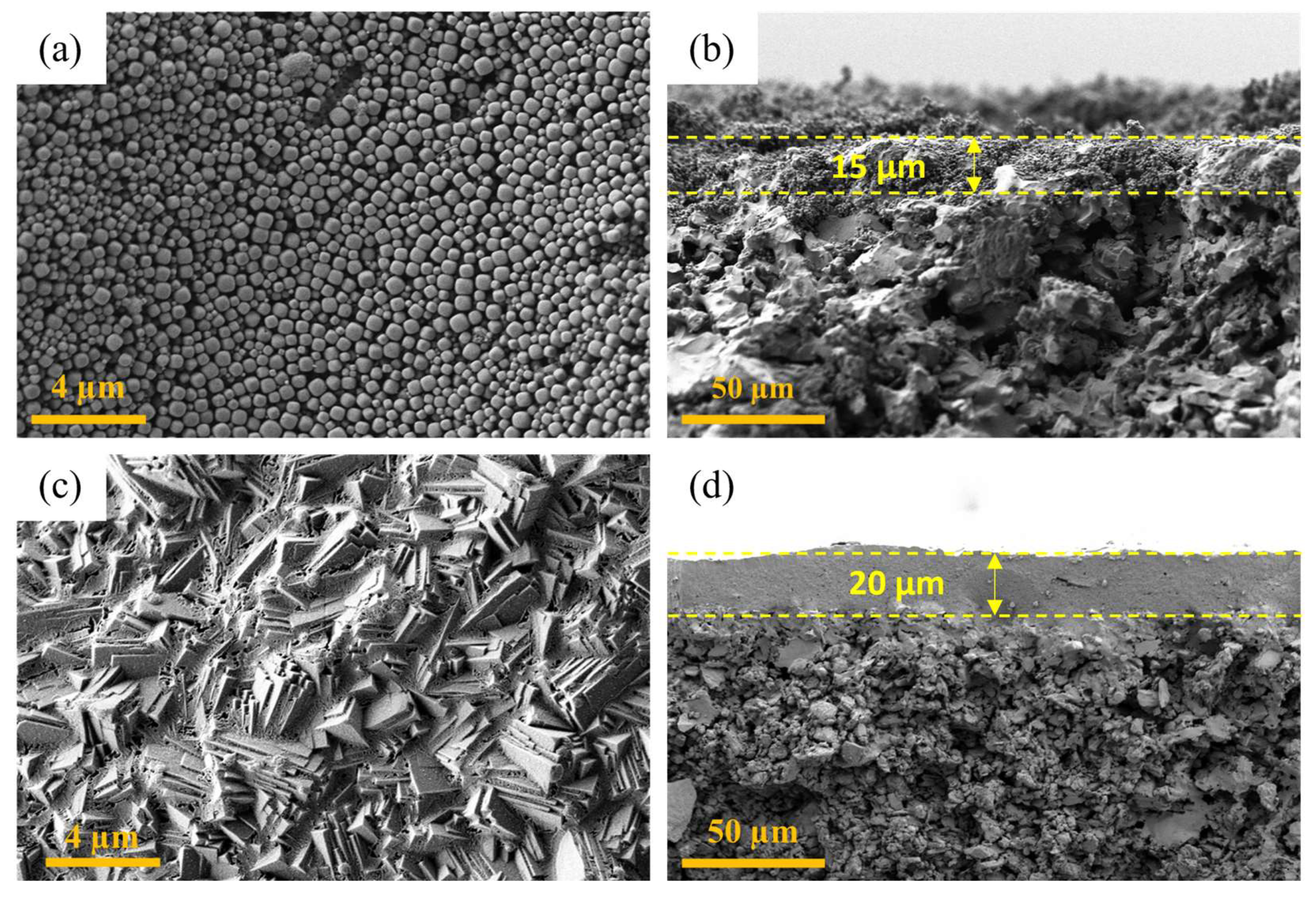 Membranes 16 00045 g010