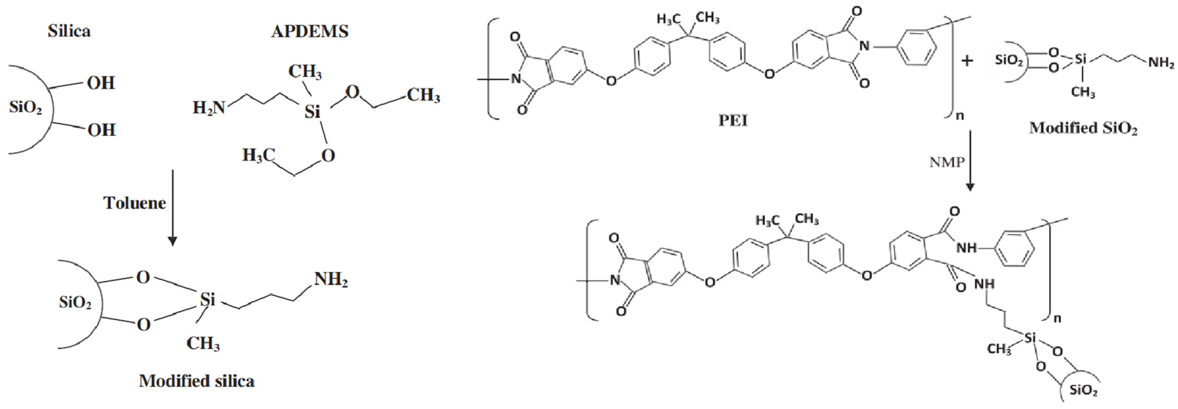 Membranes 16 00057 g014