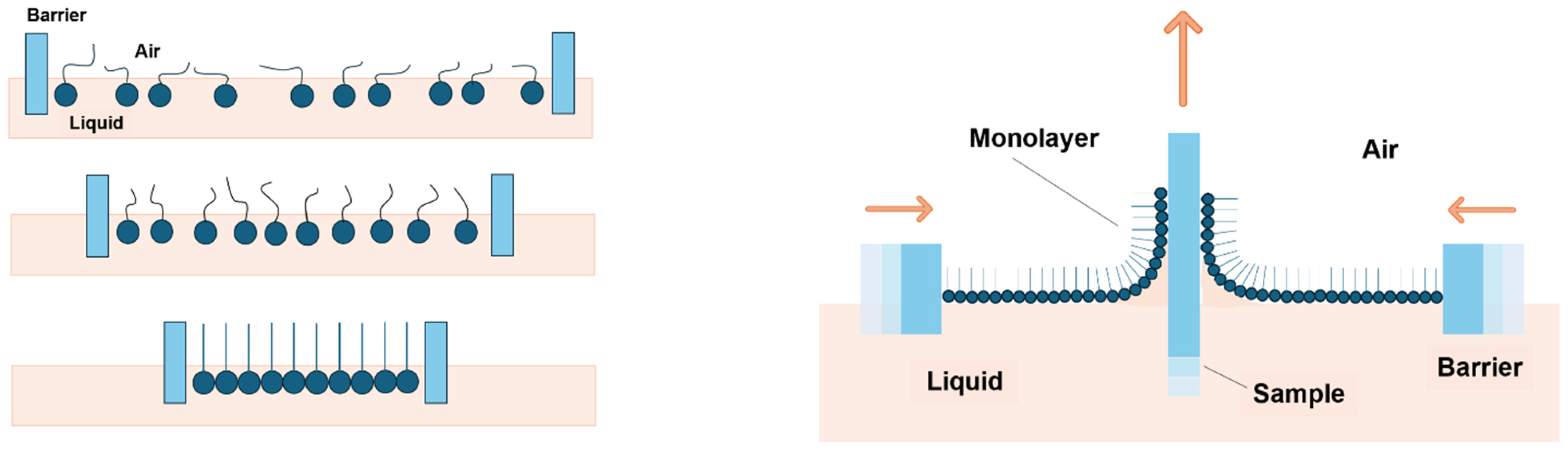 Membranes 16 00058 g003 Membranes 16 00058 g003