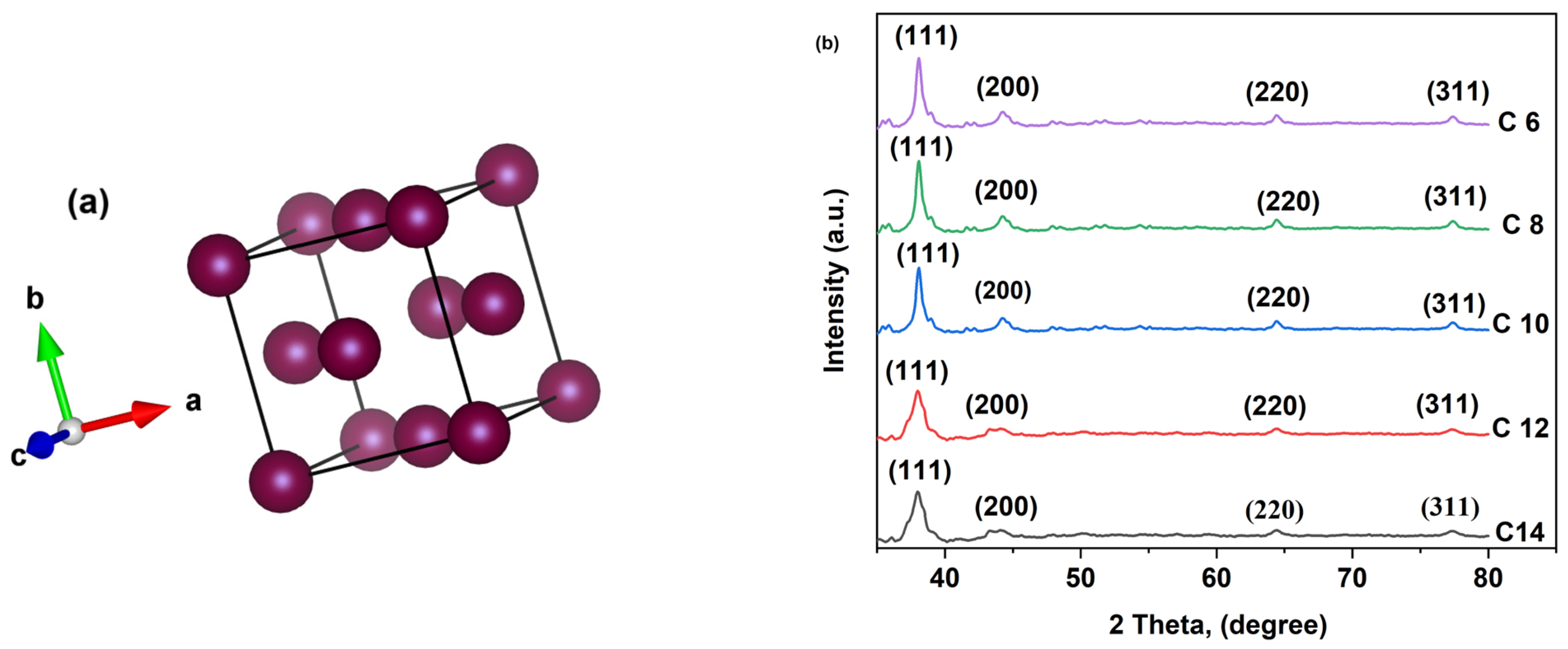 Membranes 16 00058 g004 Membranes 16 00058 g004
